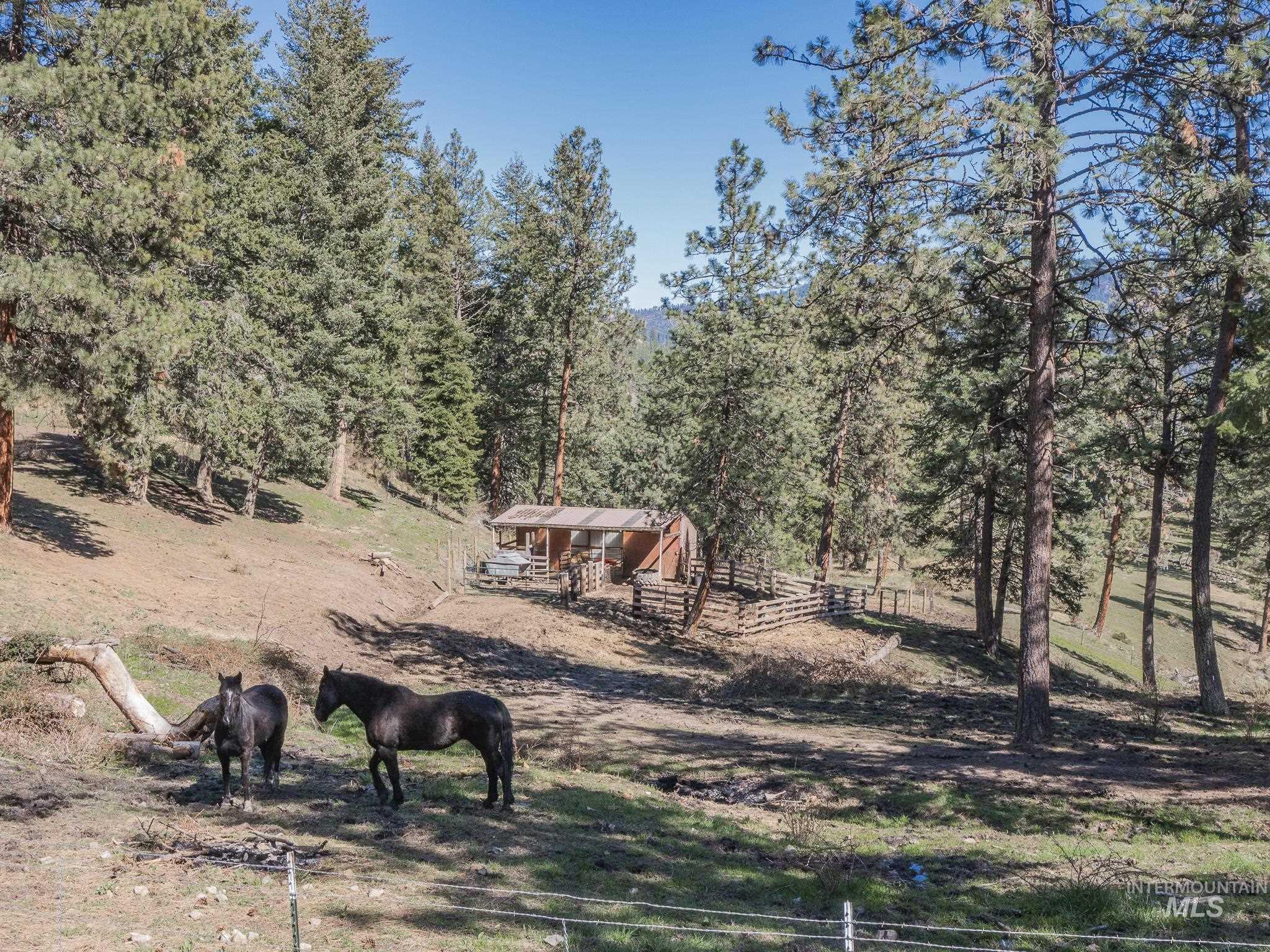 77 Poplar Drive, Grangeville, Idaho 83530, 4 Bedrooms, 2 Bathrooms, Residential For Sale, Price $499,000, 98980453