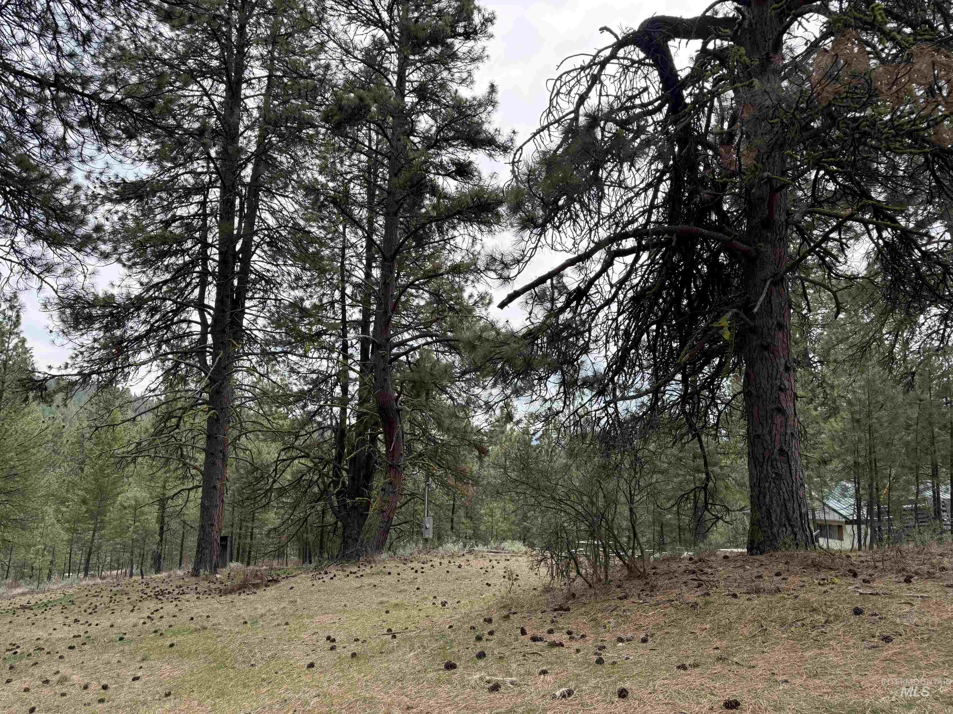 Lot 16 Sunset Loop, Cascade, Idaho 83611, Land For Sale, Price $131,900,MLS 98980455