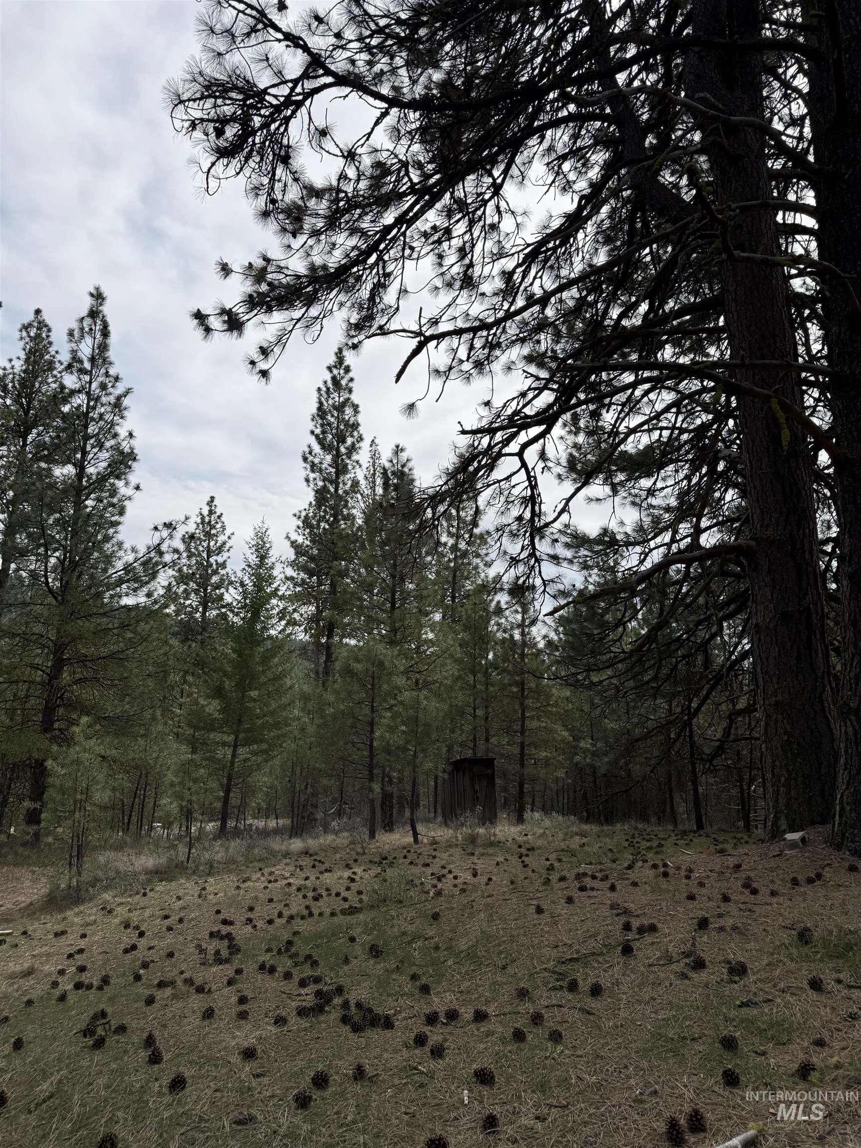 Lot 16 Sunset Loop, Cascade, Idaho 83611, Land For Sale, Price $131,900,MLS 98980455