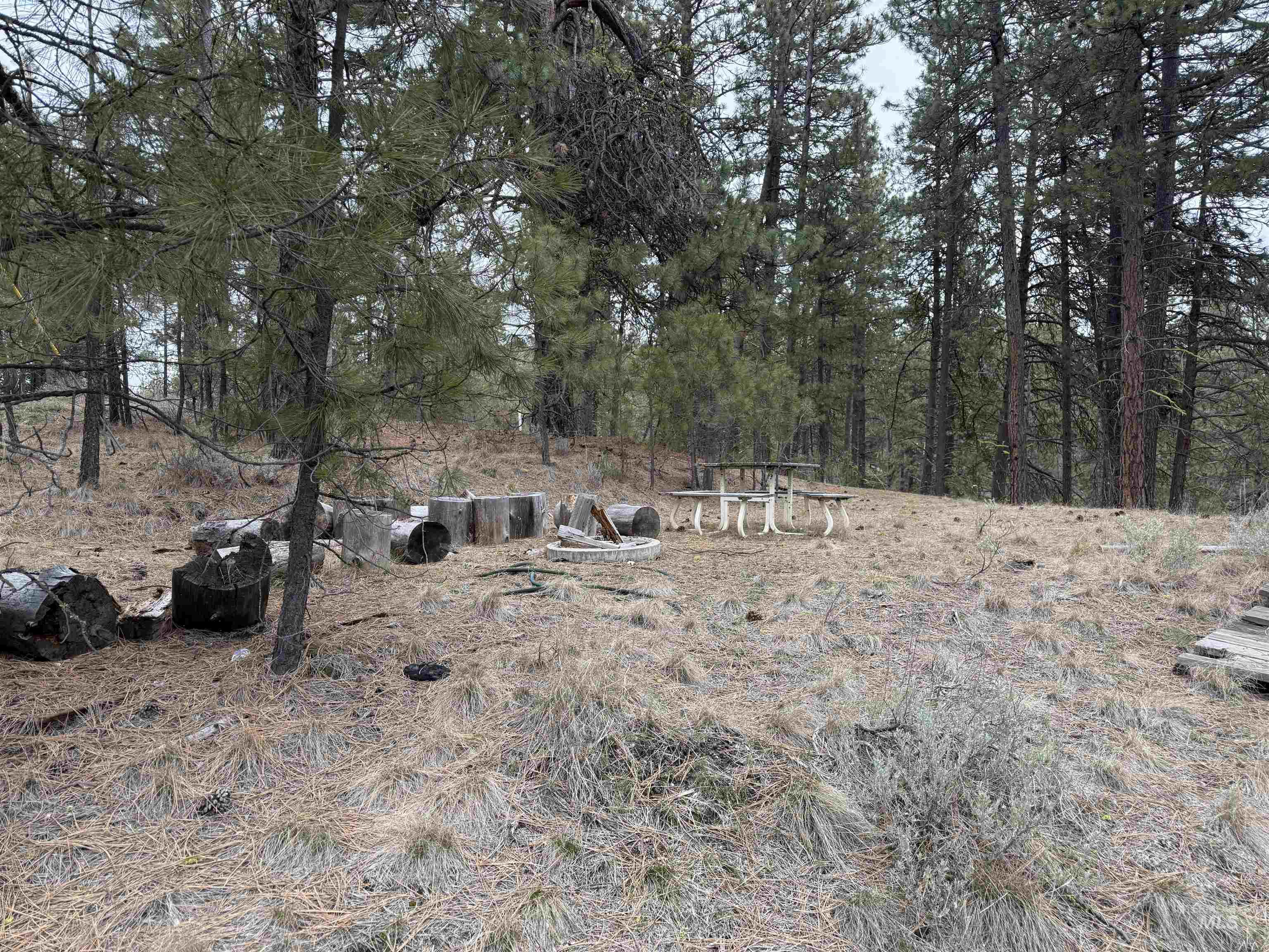 Lot 16 Sunset Loop, Cascade, Idaho 83611, Land For Sale, Price $131,900,MLS 98980455