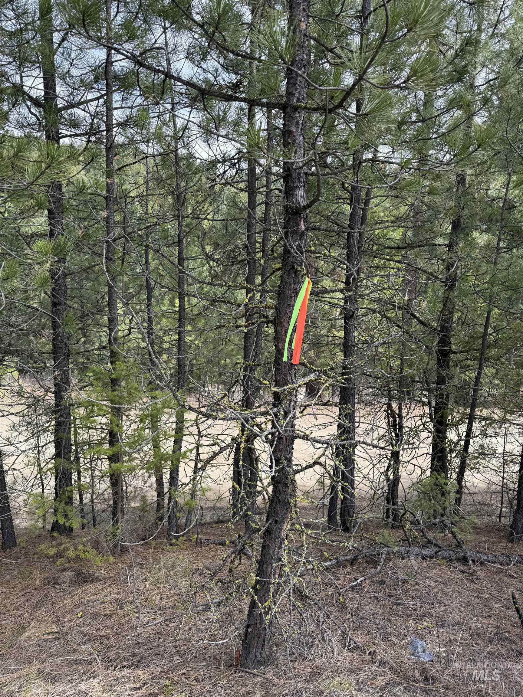 Lot 16 Sunset Loop, Cascade, Idaho 83611, Land For Sale, Price $131,900,MLS 98980455