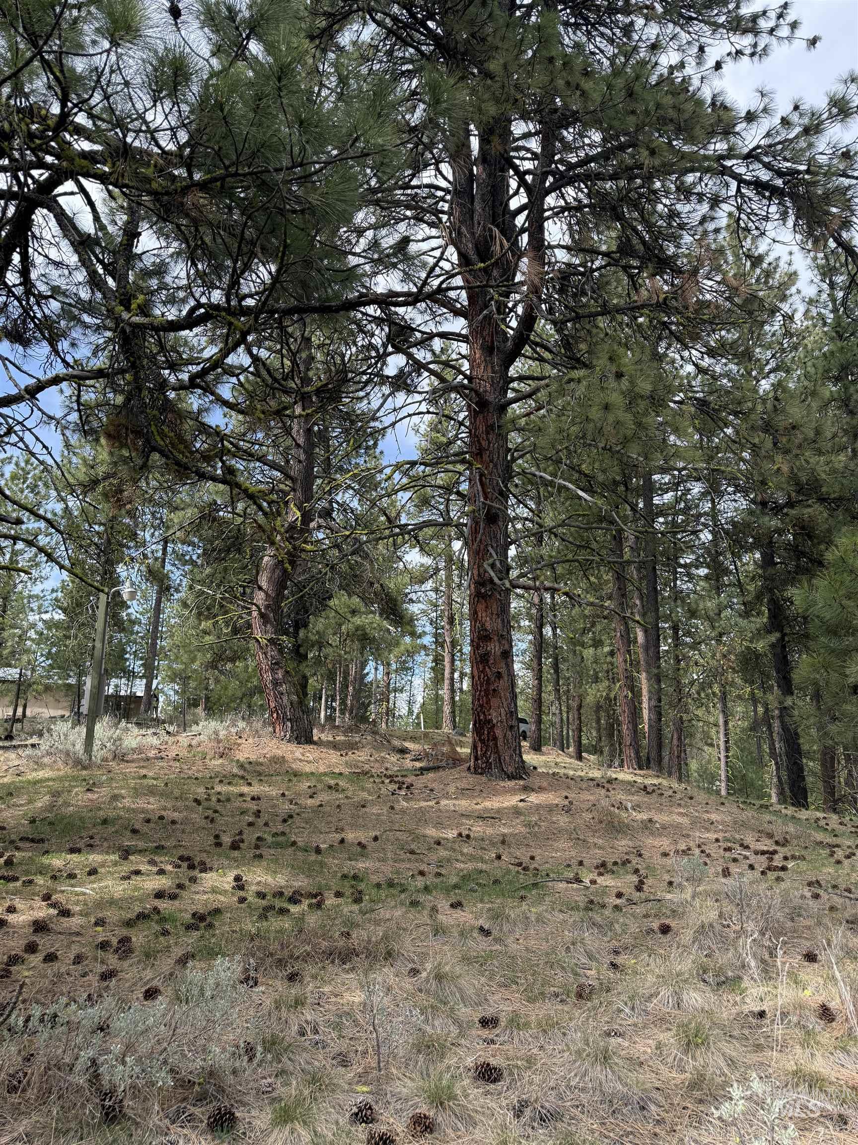 Lot 16 Sunset Loop, Cascade, Idaho 83611, Land For Sale, Price $131,900,MLS 98980455