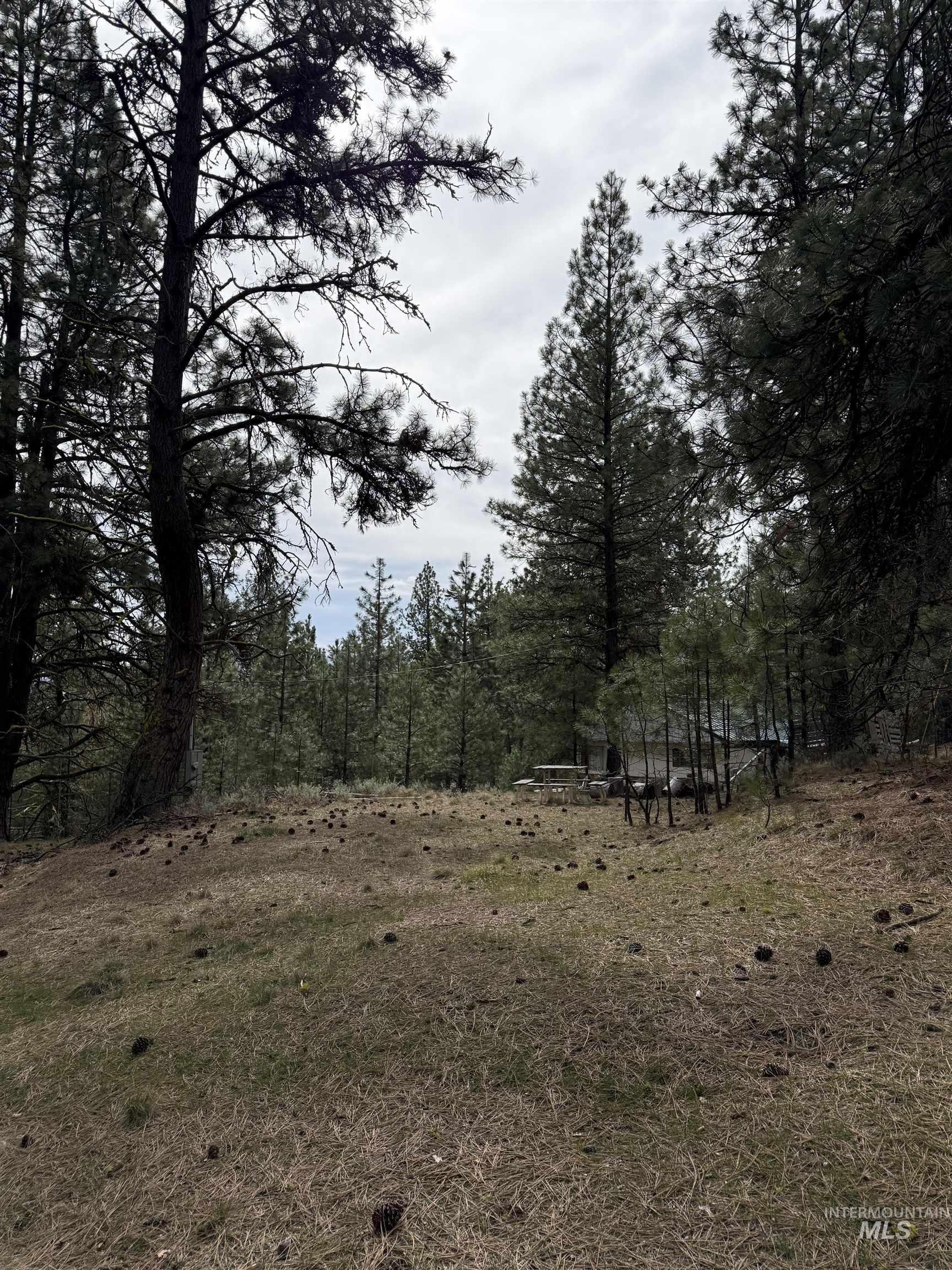 Lot 16 Sunset Loop, Cascade, Idaho 83611, Land For Sale, Price $131,900,MLS 98980455