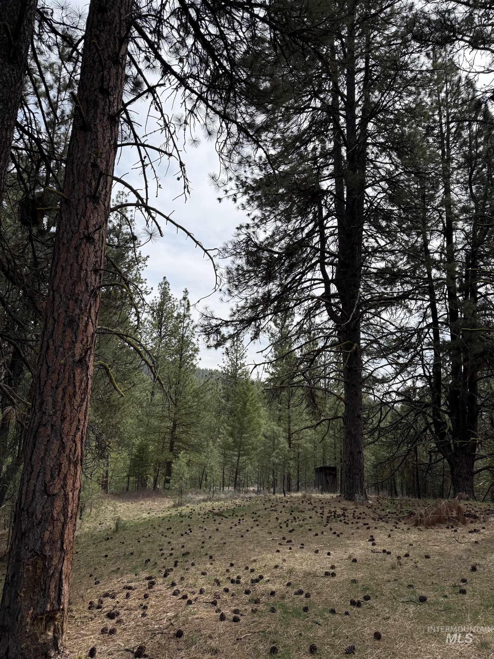 Lot 16 Sunset Loop, Cascade, Idaho 83611, Land For Sale, Price $131,900,MLS 98980455