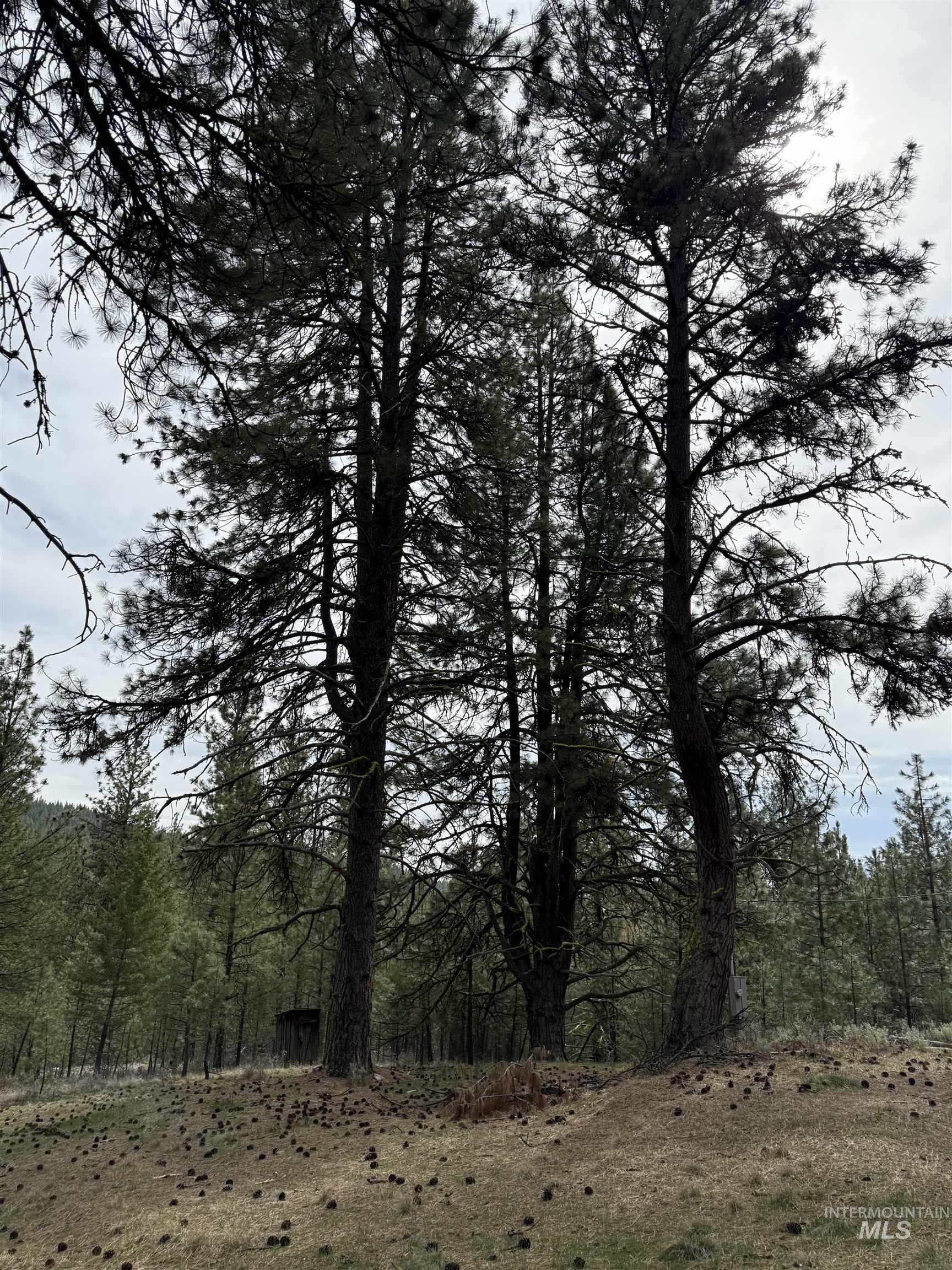 Lot 16 Sunset Loop, Cascade, Idaho 83611, Land For Sale, Price $131,900,MLS 98980455