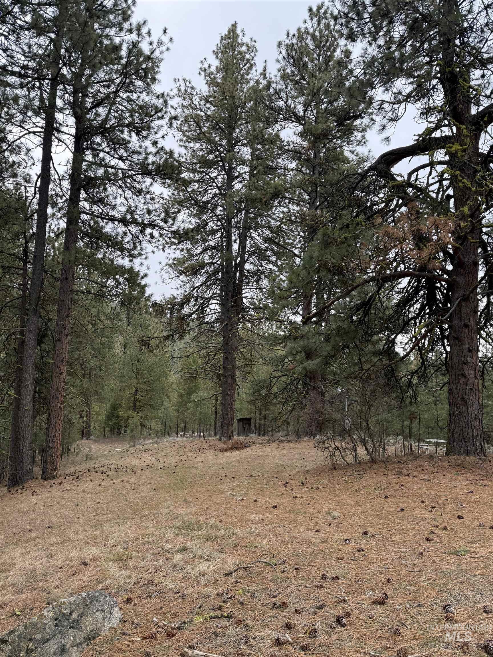 Lot 16 Sunset Loop, Cascade, Idaho 83611, Land For Sale, Price $131,900,MLS 98980455
