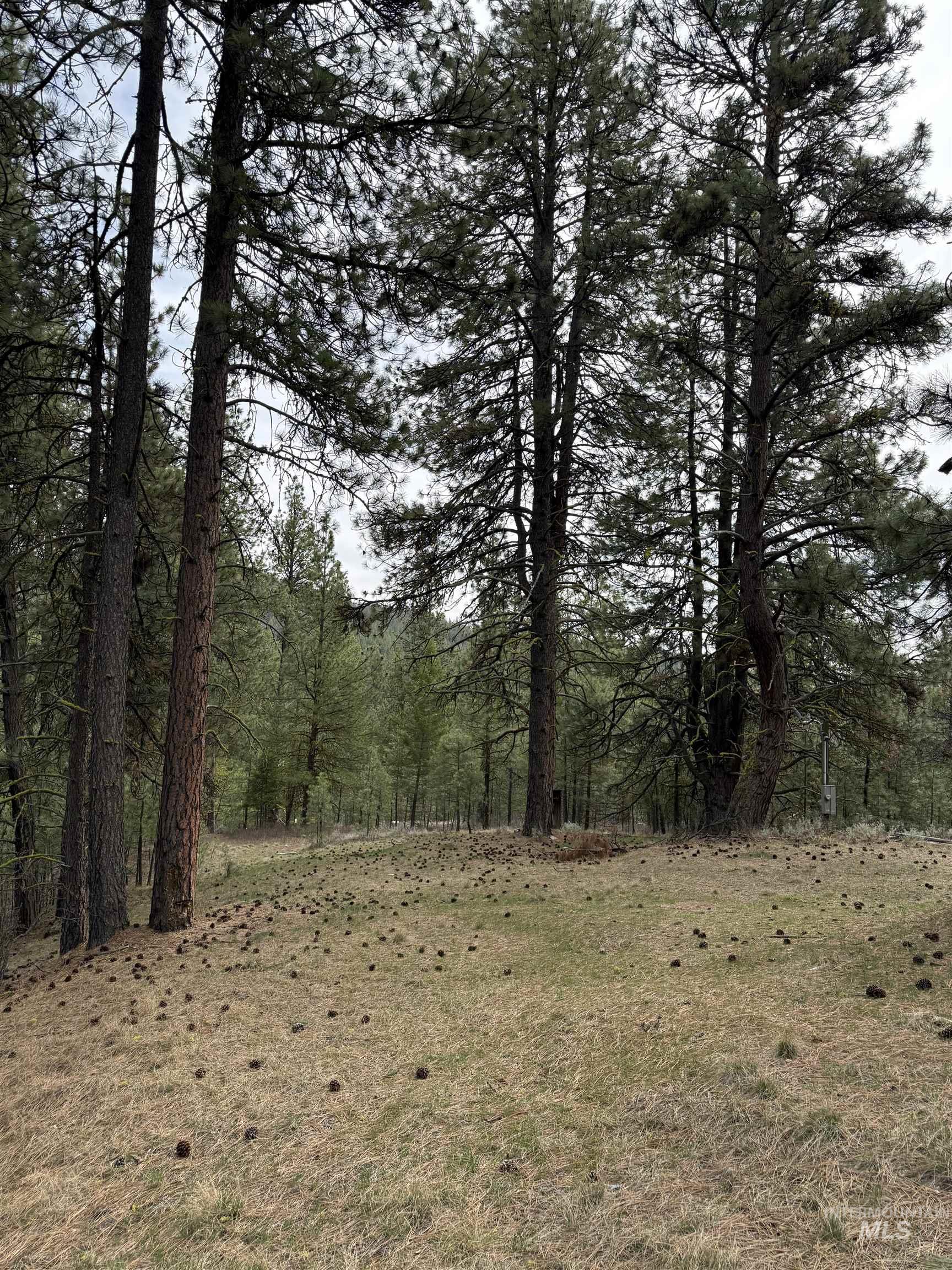 Lot 16 Sunset Loop, Cascade, Idaho 83611, Land For Sale, Price $131,900,MLS 98980455