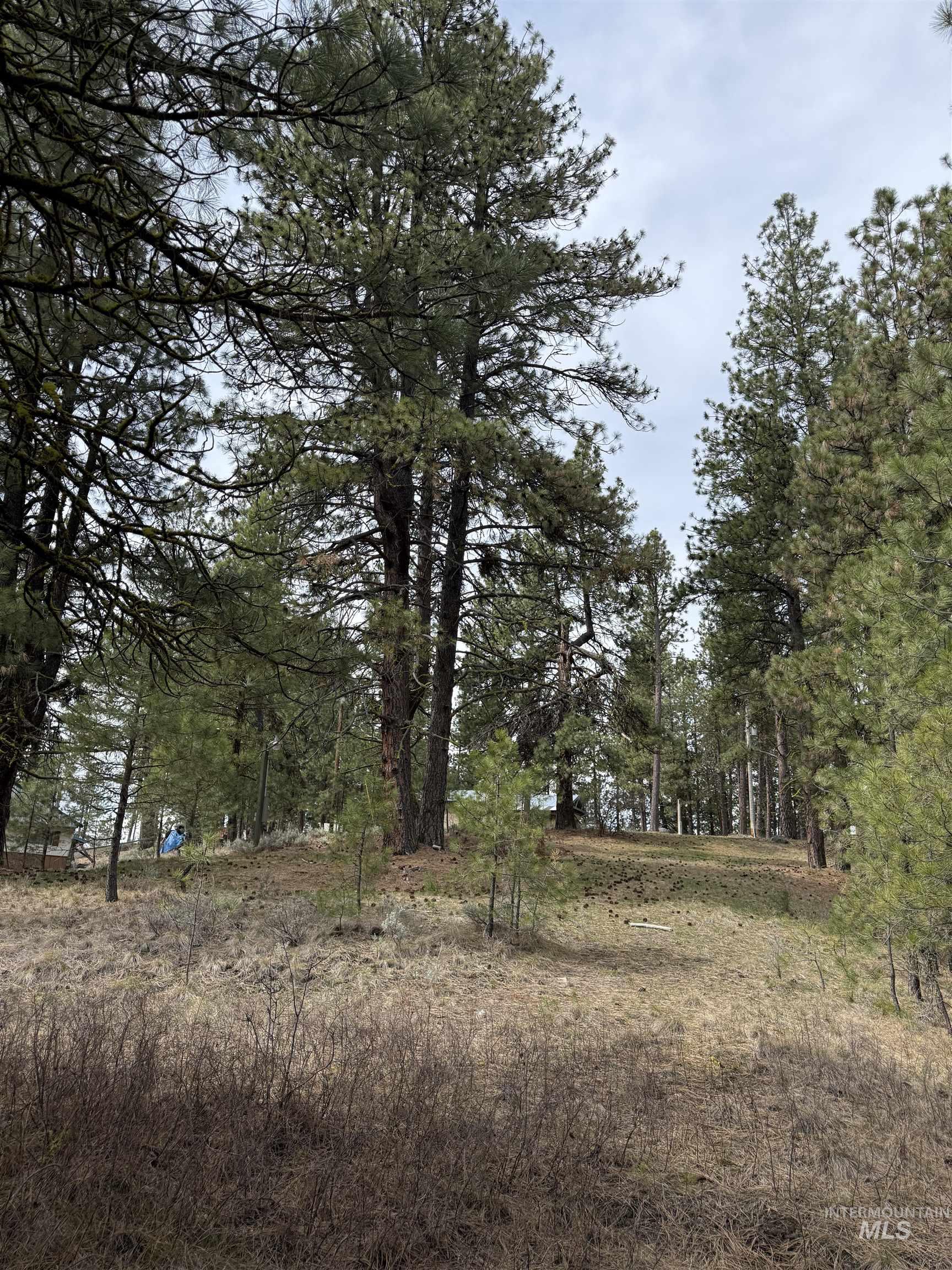 Lot 16 Sunset Loop, Cascade, Idaho 83611, Land For Sale, Price $131,900,MLS 98980455