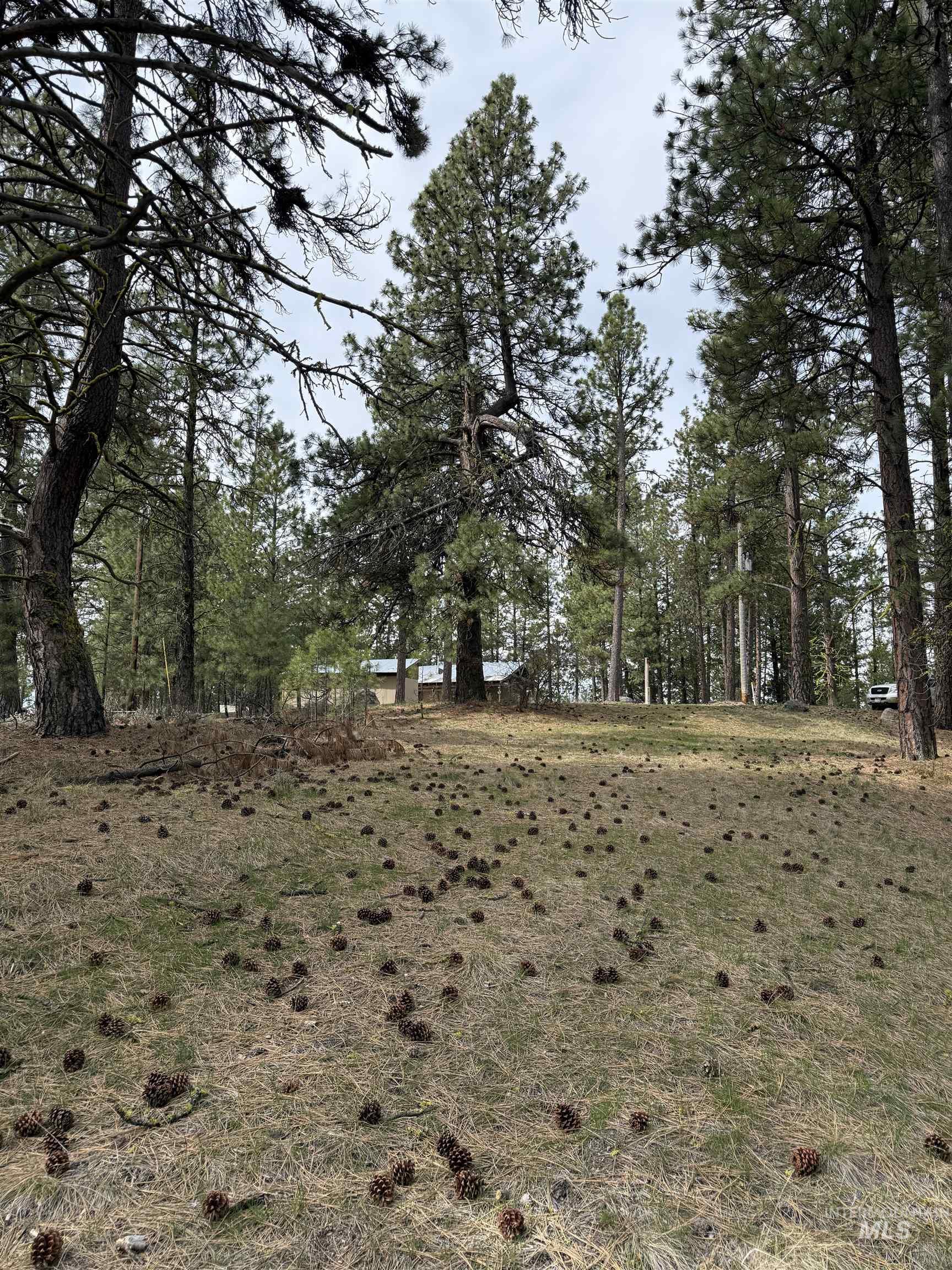 Lot 16 Sunset Loop, Cascade, Idaho 83611, Land For Sale, Price $131,900,MLS 98980455