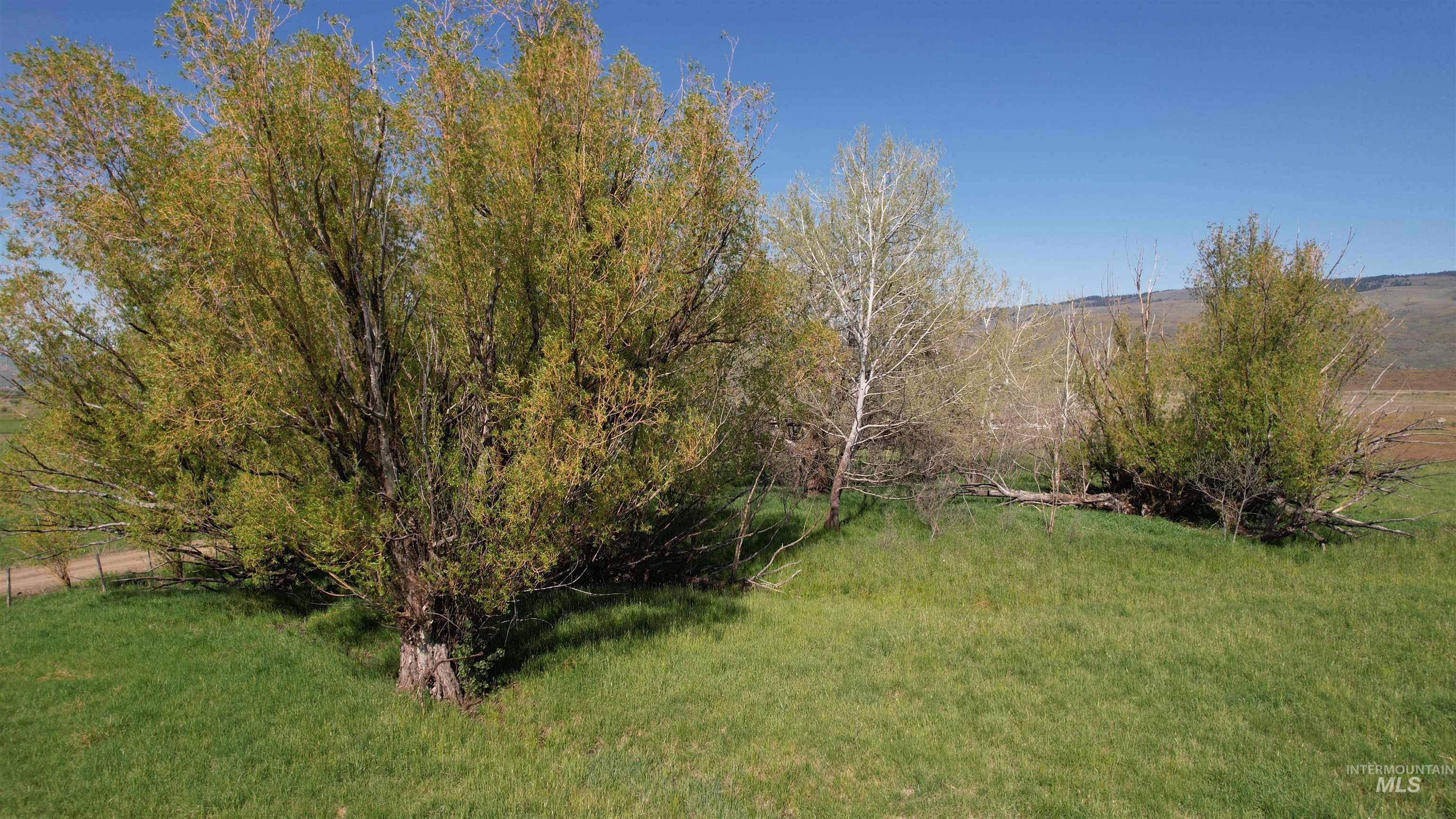 19763 Butler Lane, Ola, Idaho 83657, Land For Sale, Price $197,630,MLS 98980456