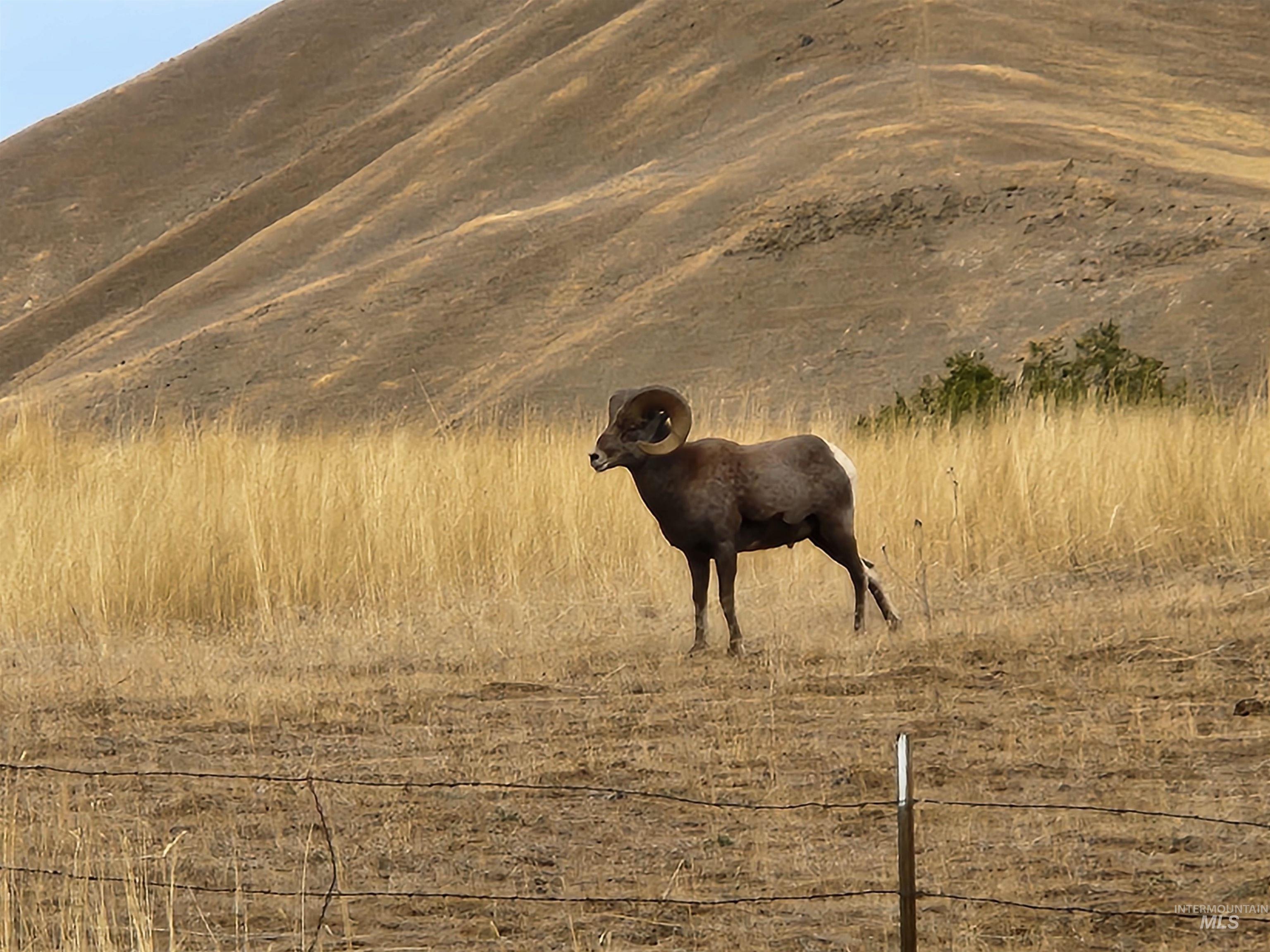 34559 Snake River Road, Huntington, Oregon 97907, Land For Sale, Price $650,000,MLS 98980462