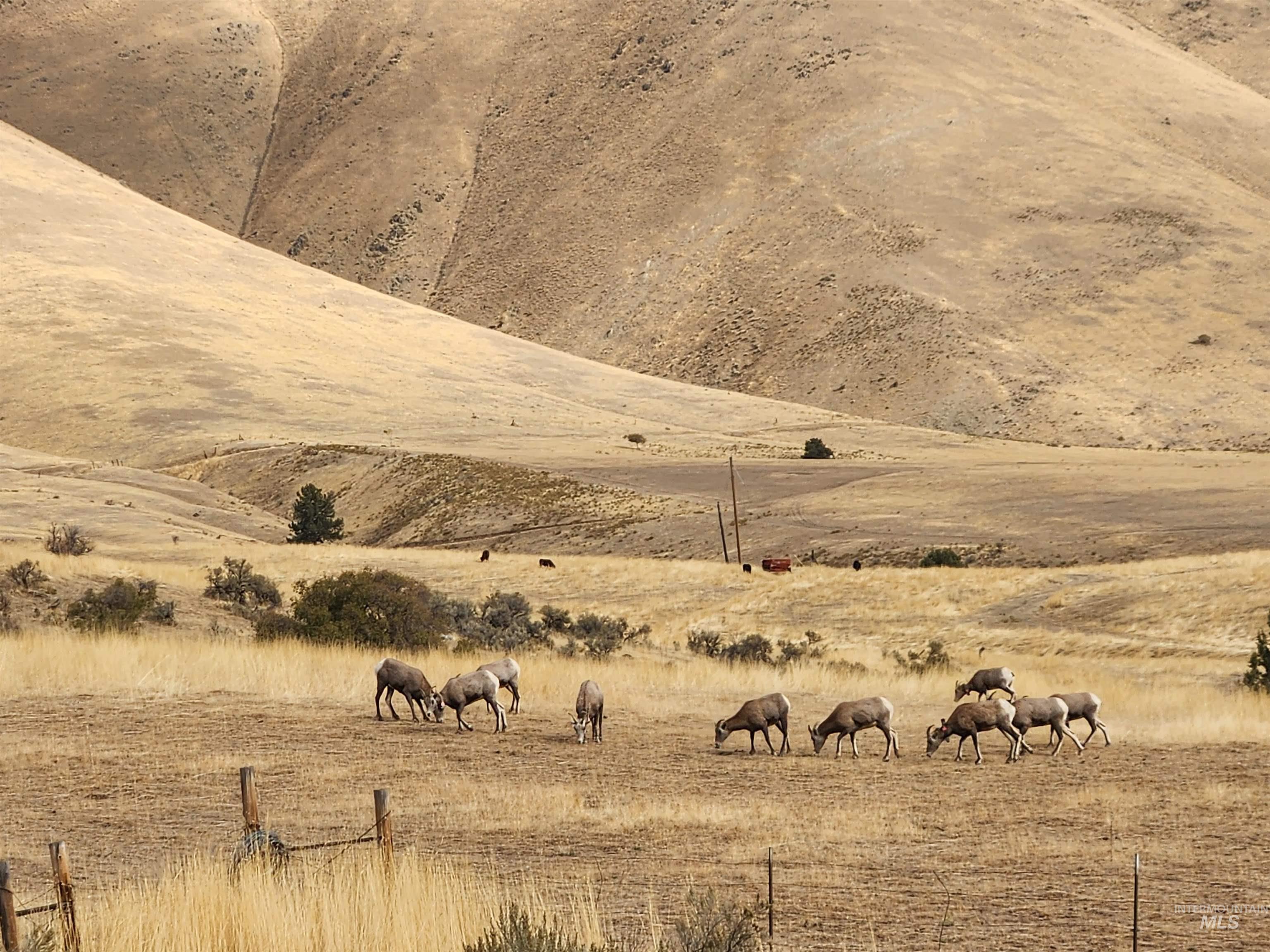 34559 Snake River Road, Huntington, Oregon 97907, Land For Sale, Price $650,000,MLS 98980462