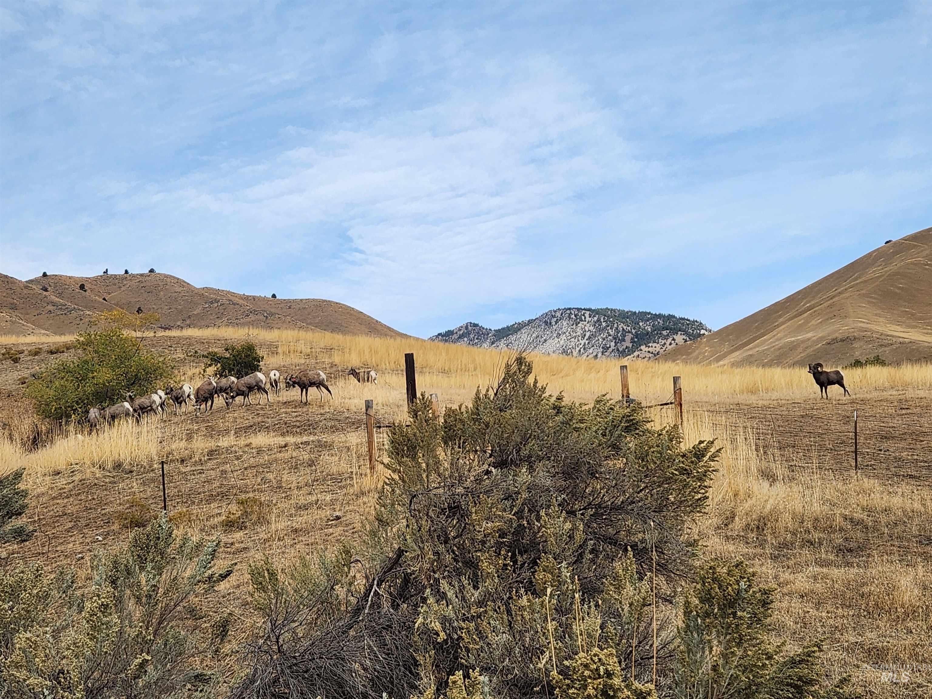 34559 Snake River Road, Huntington, Oregon 97907, Land For Sale, Price $650,000,MLS 98980462