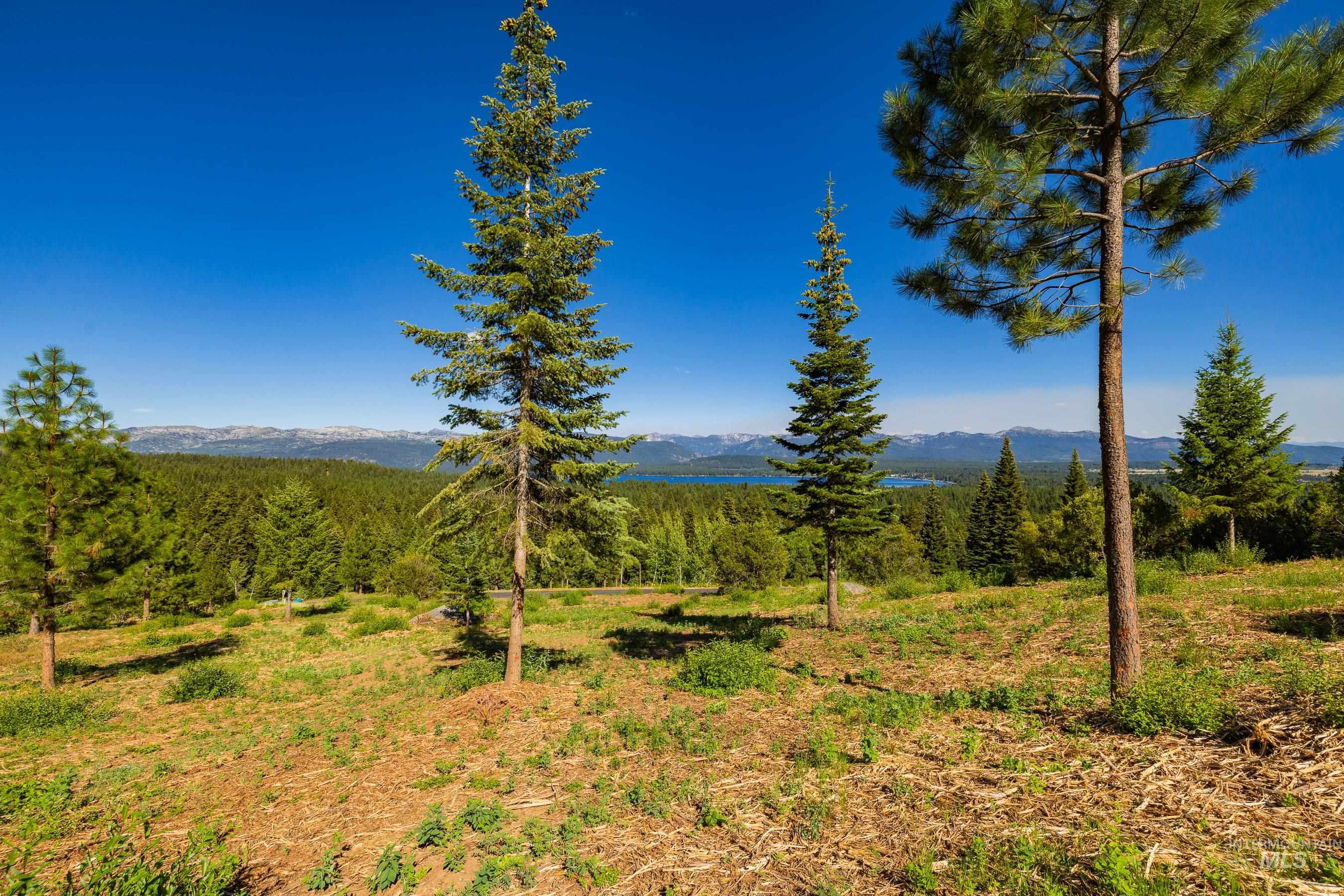 1697 Club Hill Blvd., McCall, Idaho 83638, Land For Sale, Price $599,500,MLS 98980463