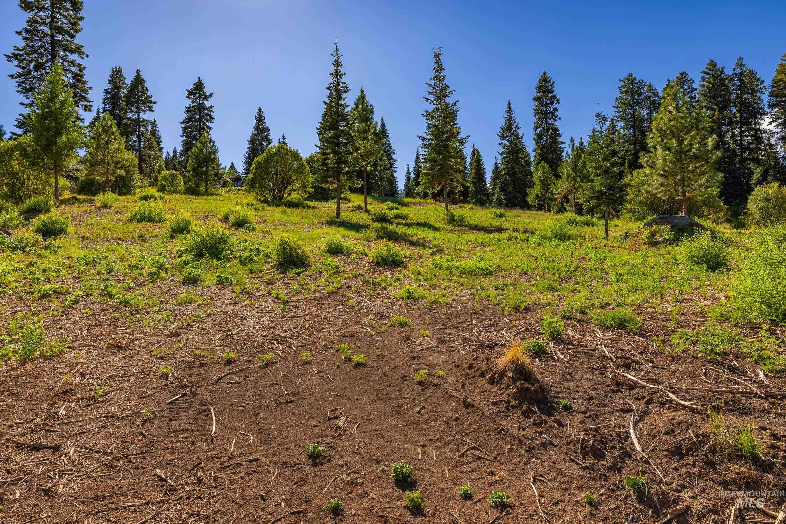 1697 Club Hill Blvd., McCall, Idaho 83638, Land For Sale, Price $599,500,MLS 98980463
