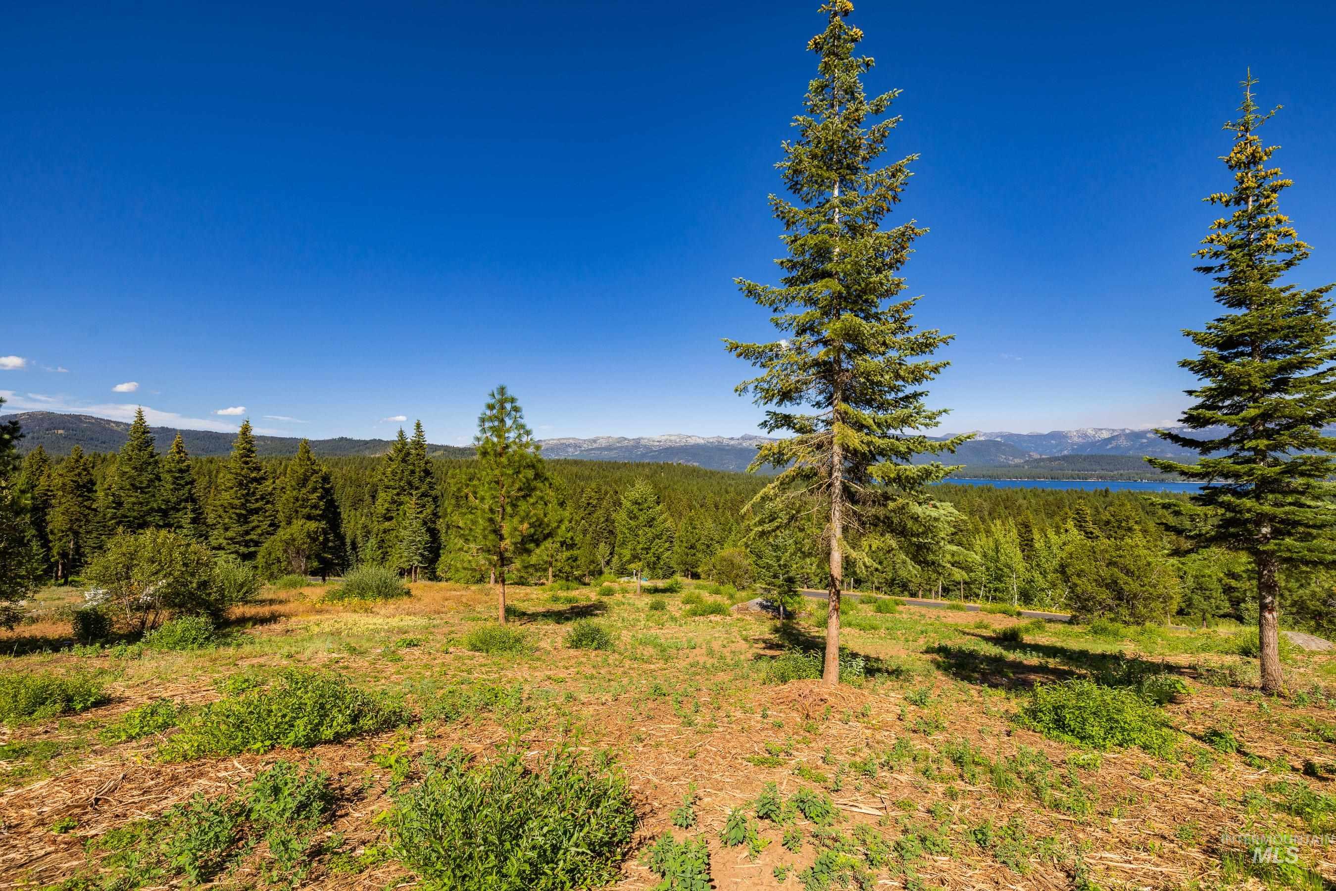 1697 Club Hill Blvd., McCall, Idaho 83638, Land For Sale, Price $599,500,MLS 98980463