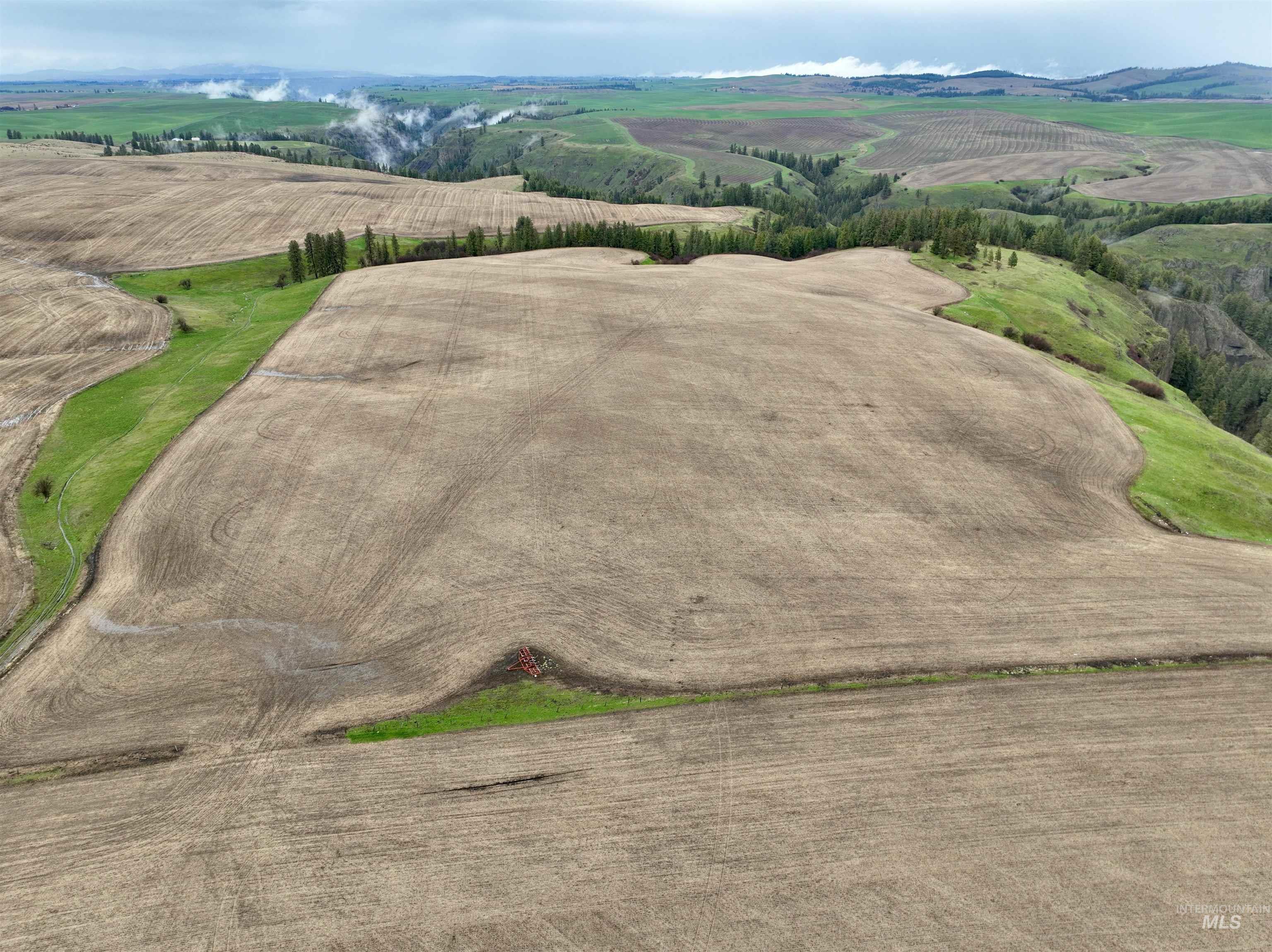 TBD Younger Rd, Craigmont, Idaho 83523, Land For Sale, Price $225,000,MLS 98980464