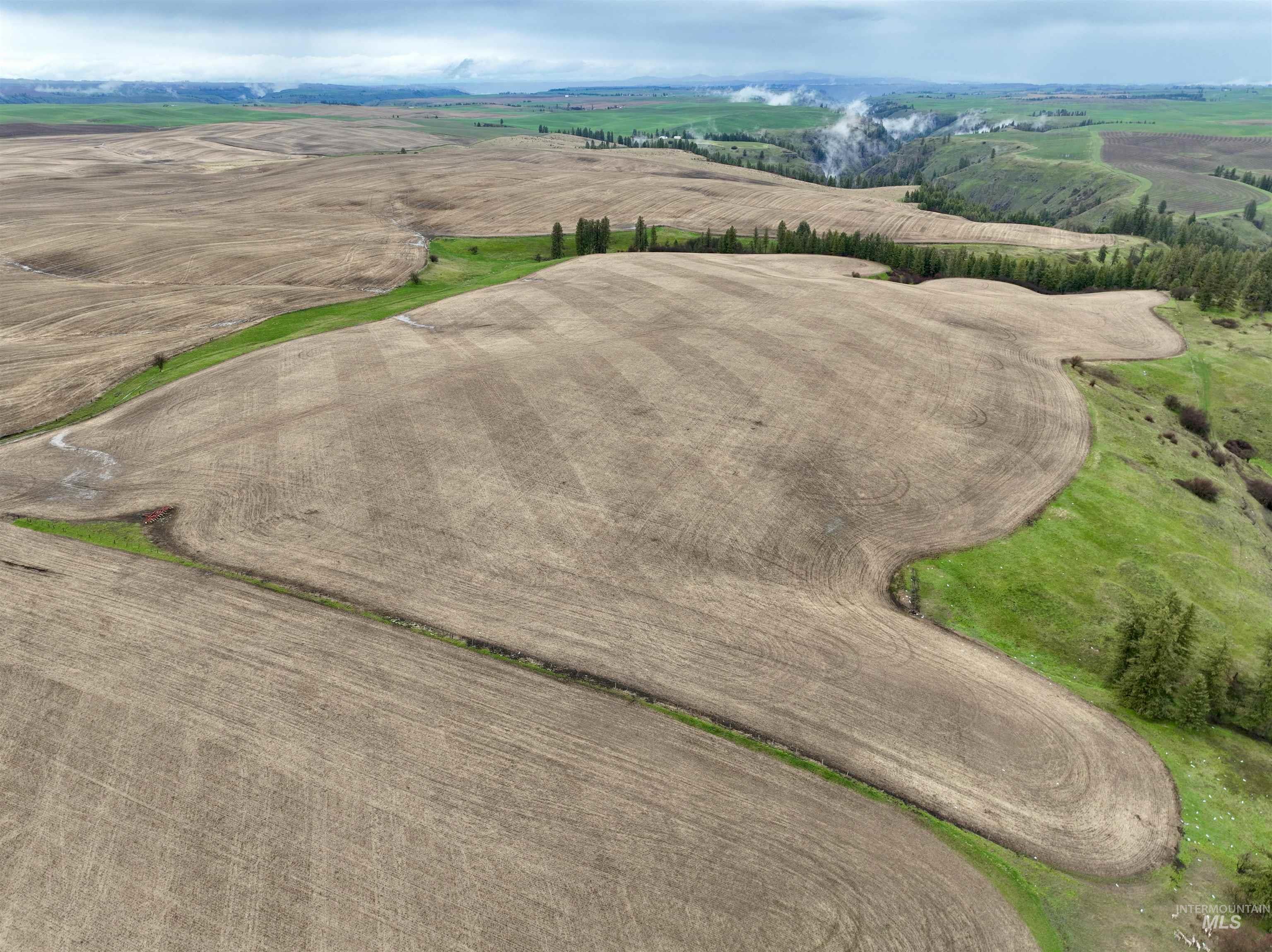 TBD Younger Rd, Craigmont, Idaho 83523, Land For Sale, Price $225,000,MLS 98980464