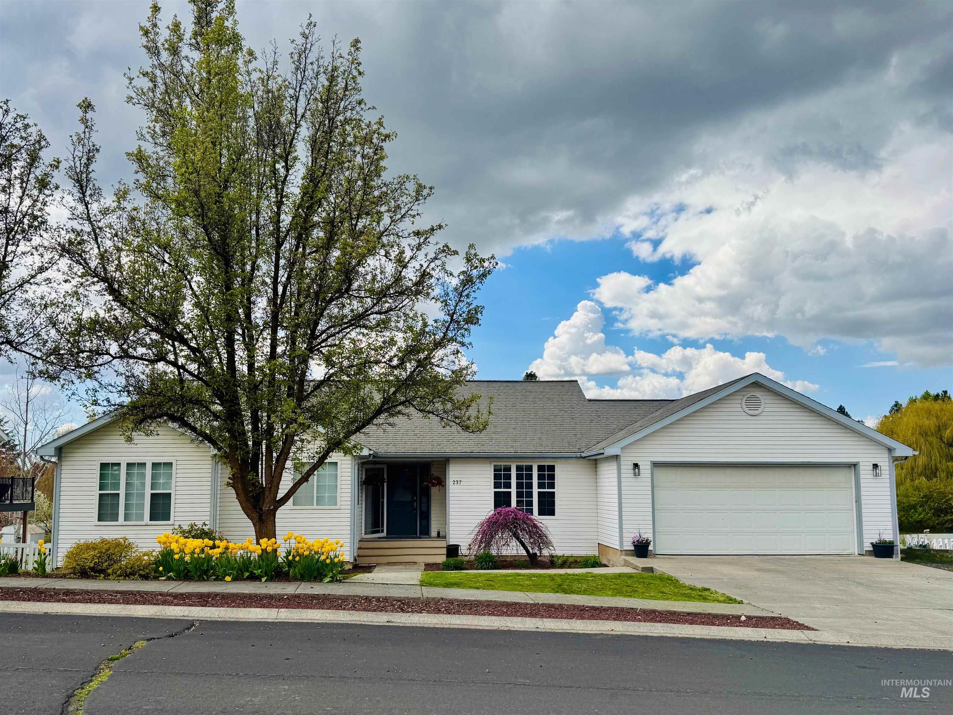 237 Sunrise Dr, Moscow, Idaho 83843, 5 Bedrooms, 3 Bathrooms, Residential For Sale, Price $697,500, 98980475