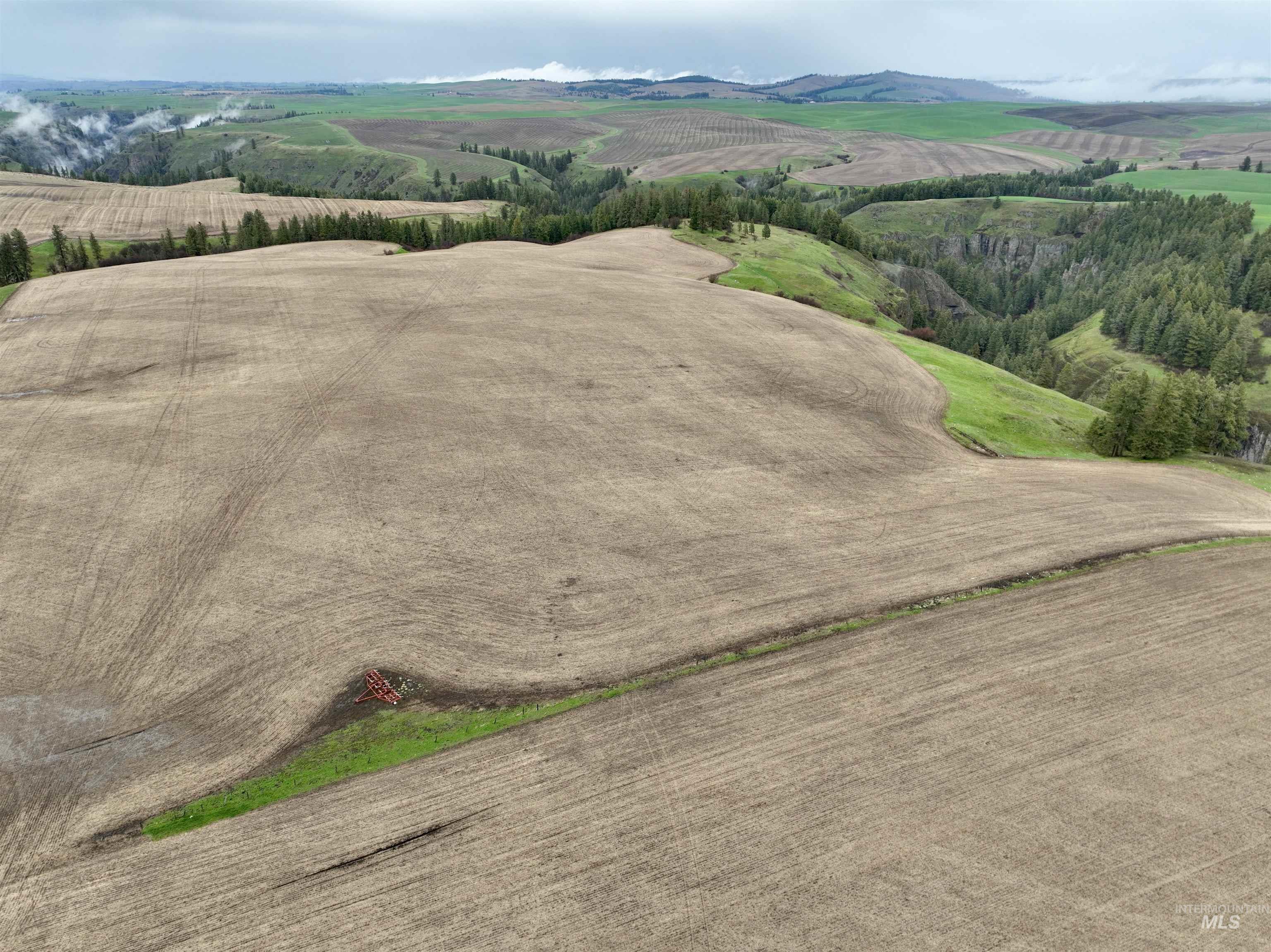 TBD Younger Rd, Craigmont, Idaho 83523, Farm & Ranch For Sale, Price $225,000, 98980476