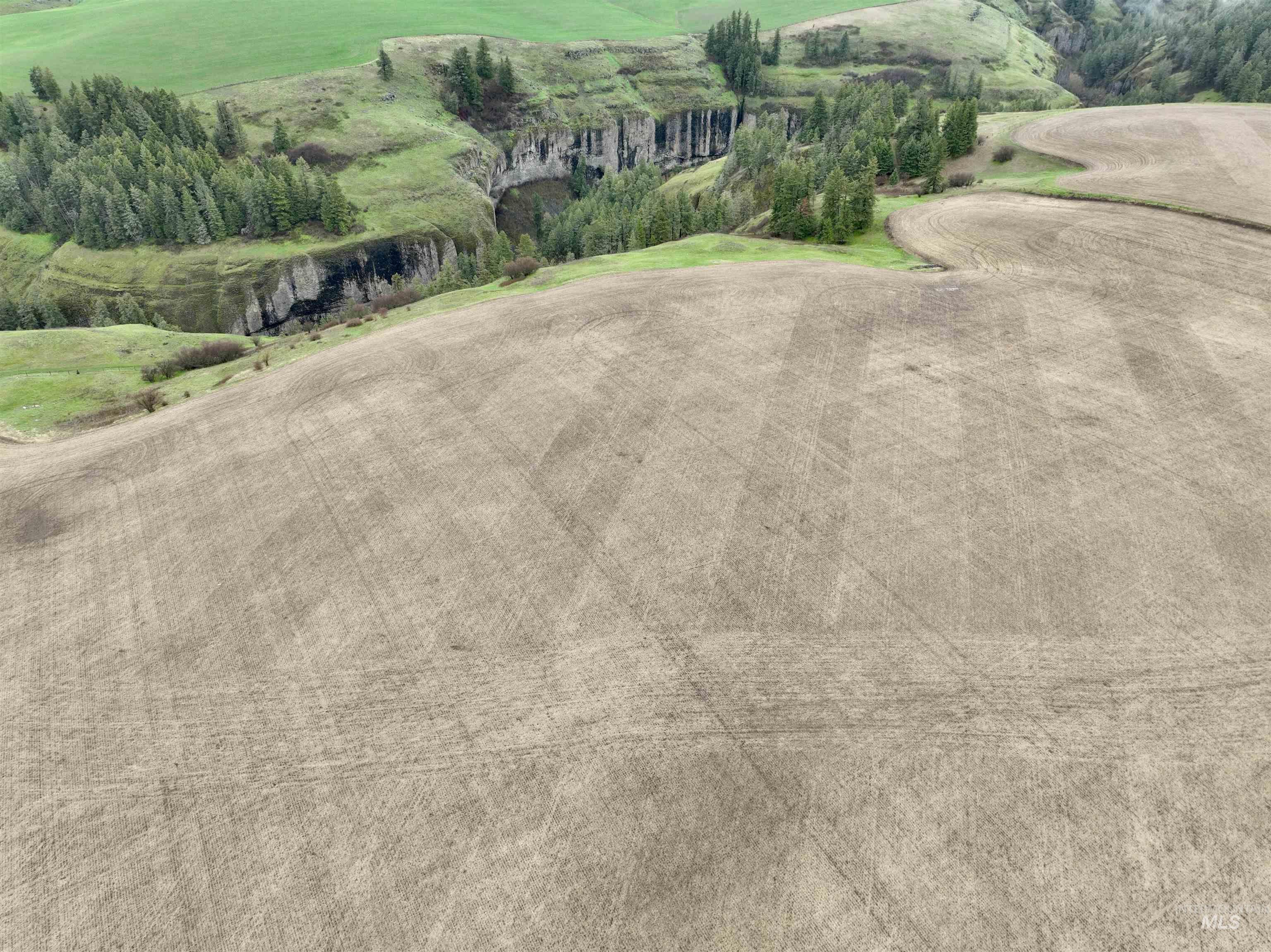 TBD Younger Rd, Craigmont, Idaho 83523, Farm & Ranch For Sale, Price $225,000, 98980476