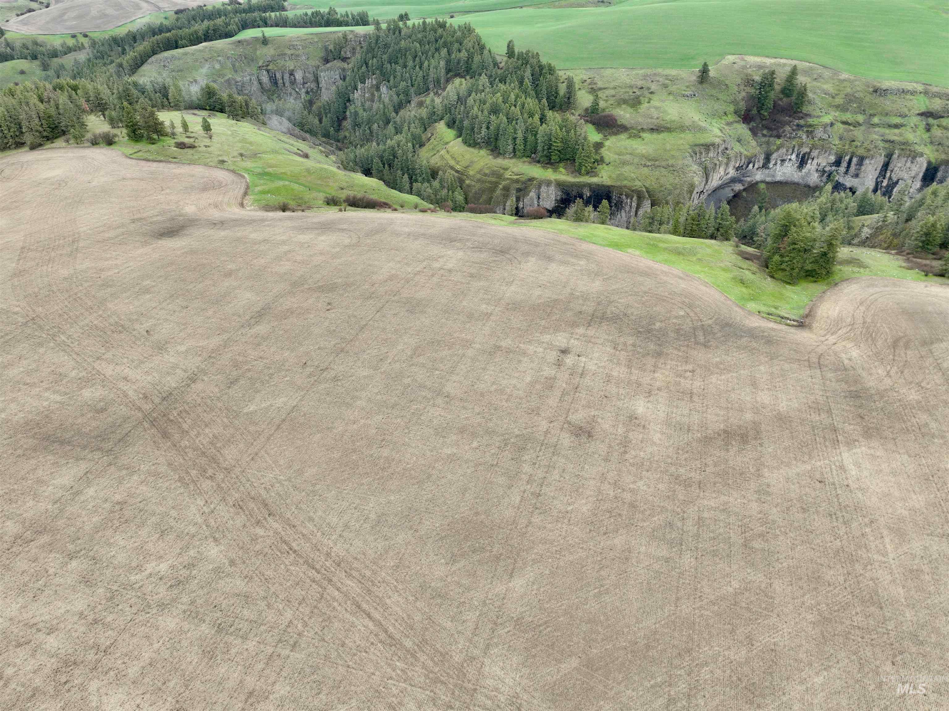 TBD Younger Rd, Craigmont, Idaho 83523, Farm & Ranch For Sale, Price $225,000, 98980476