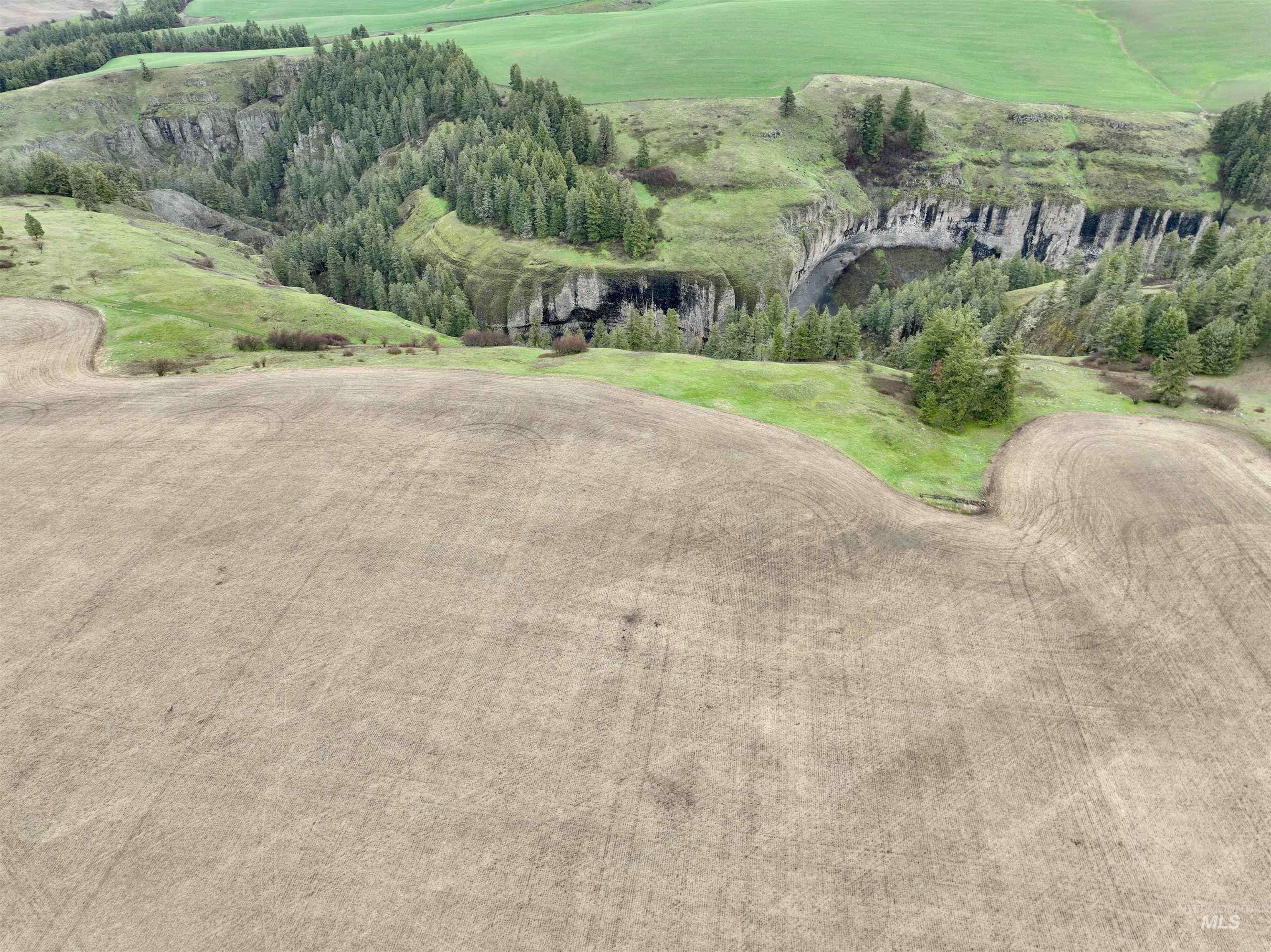 TBD Younger Rd, Craigmont, Idaho 83523, Farm & Ranch For Sale, Price $225,000, 98980476