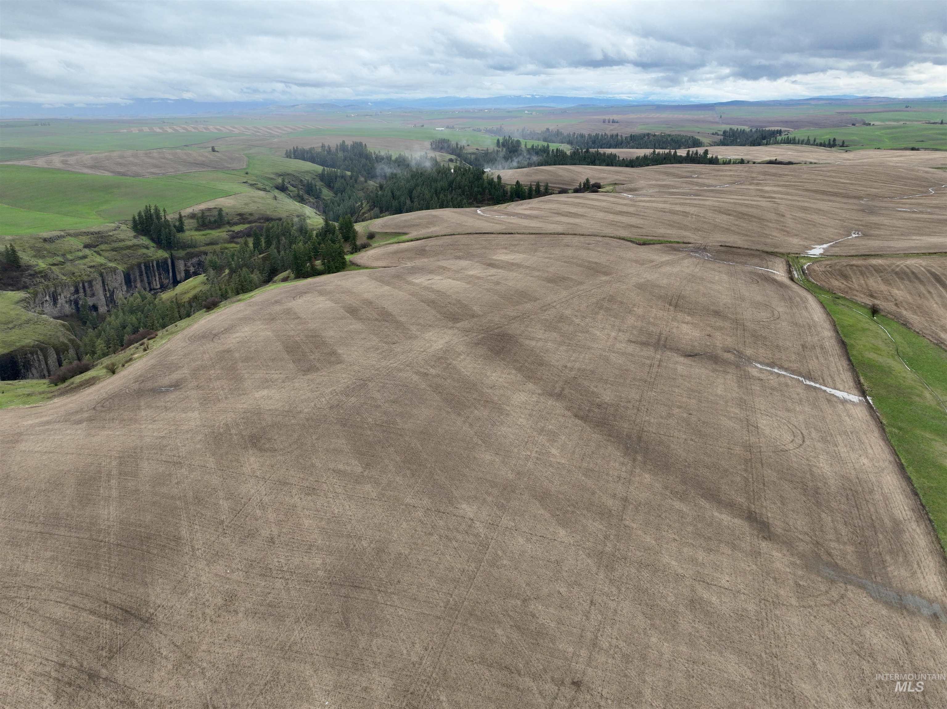 TBD Younger Rd, Craigmont, Idaho 83523, Farm & Ranch For Sale, Price $225,000, 98980476