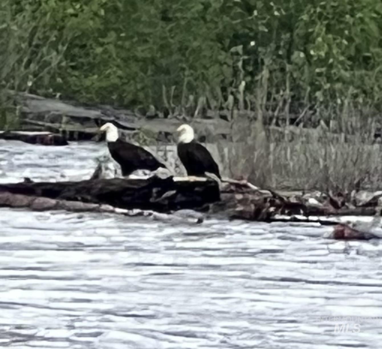 Lot 20 Singing Springs Way, Garden Valley, Idaho 83622, 3 Bedrooms, 3 Bathrooms, Residential For Sale, Price $885,000,MLS 98980478