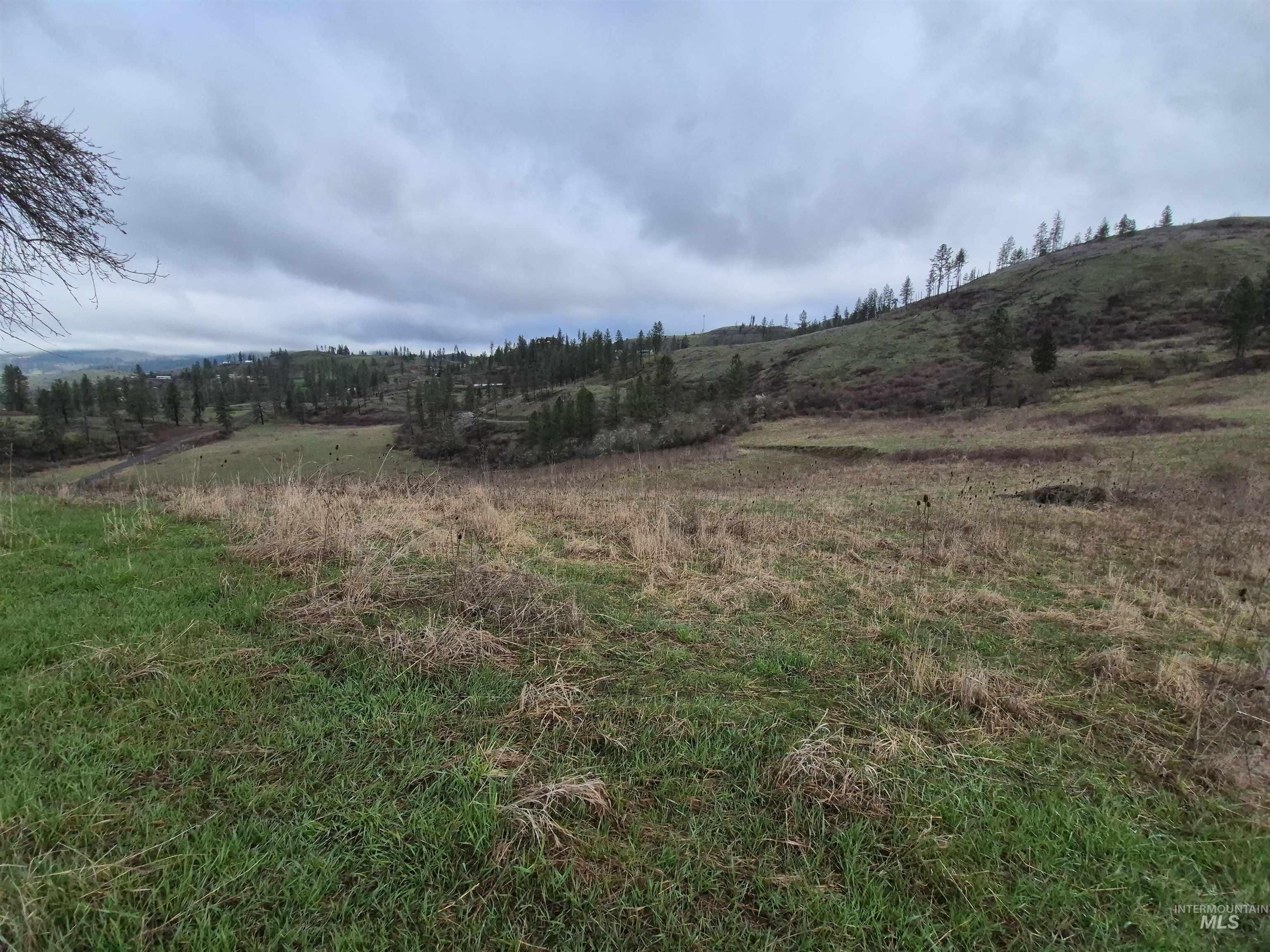 TBD Elk Hill St. Lot # 3, Kamiah, Idaho 83536, Land For Sale, Price $99,000,MLS 98980493