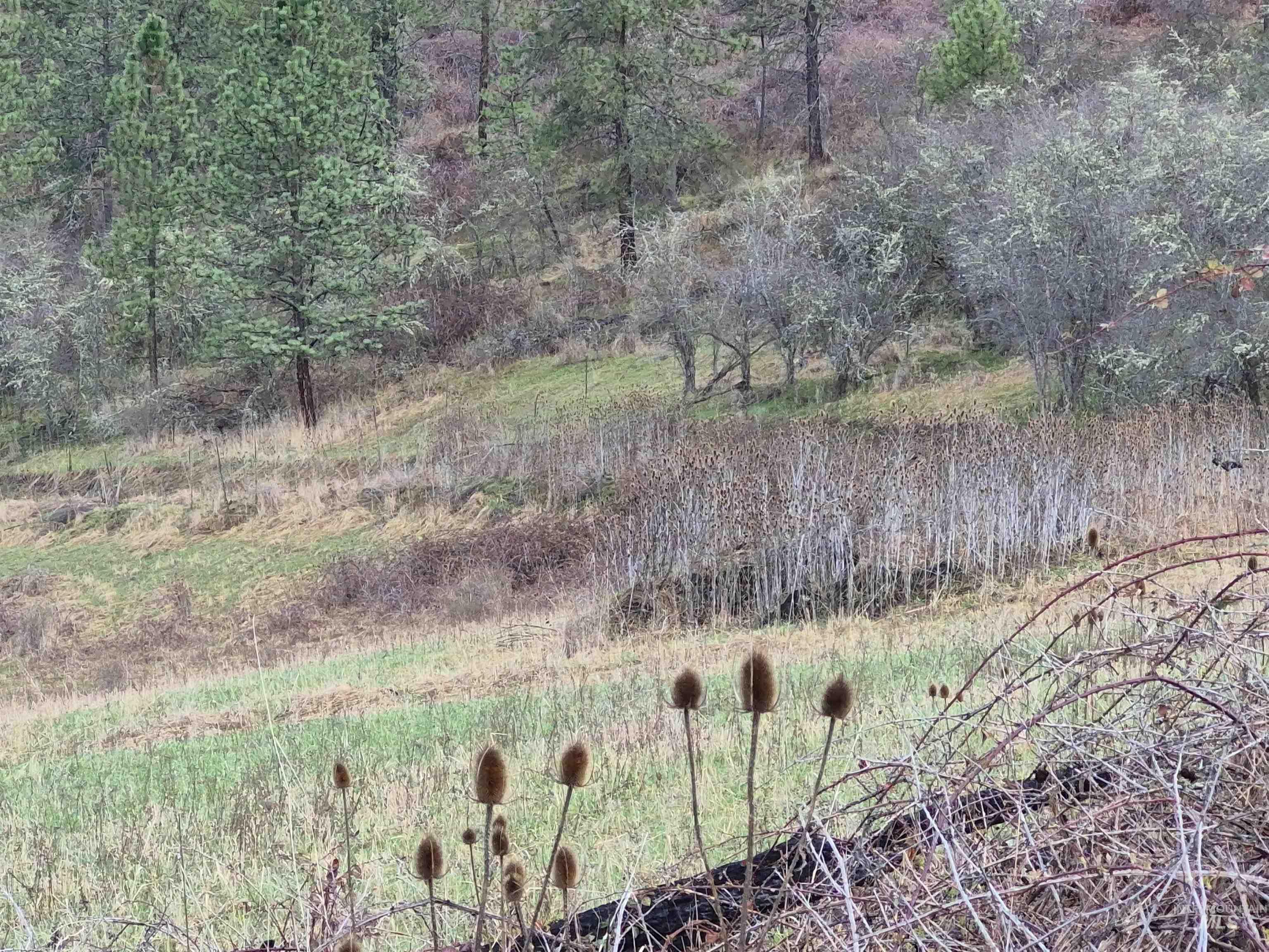 TBD Elk Hill St. Lot # 3, Kamiah, Idaho 83536, Land For Sale, Price $99,000,MLS 98980493