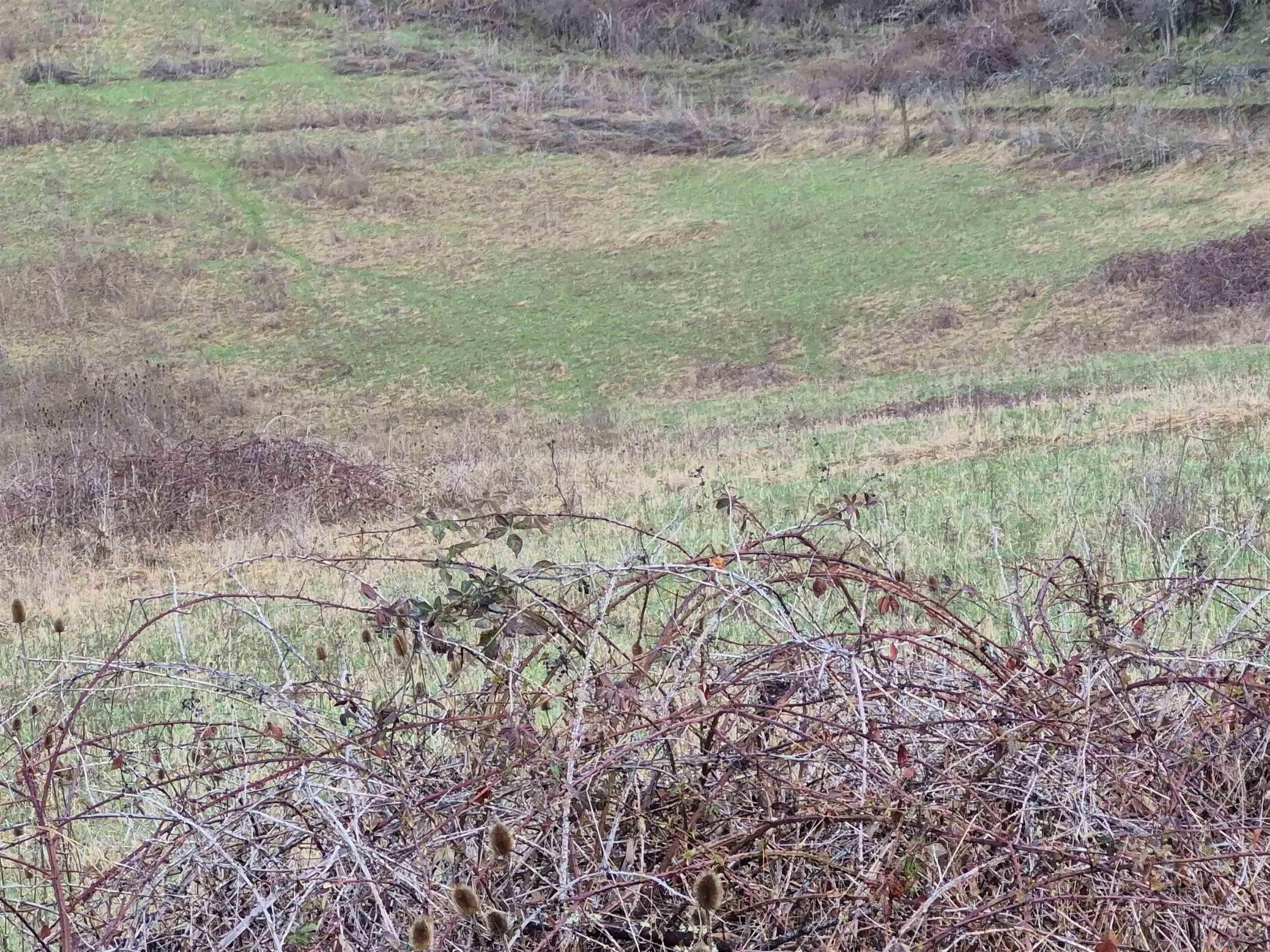 TBD Elk Hill St. Lot # 3, Kamiah, Idaho 83536, Land For Sale, Price $99,000,MLS 98980493