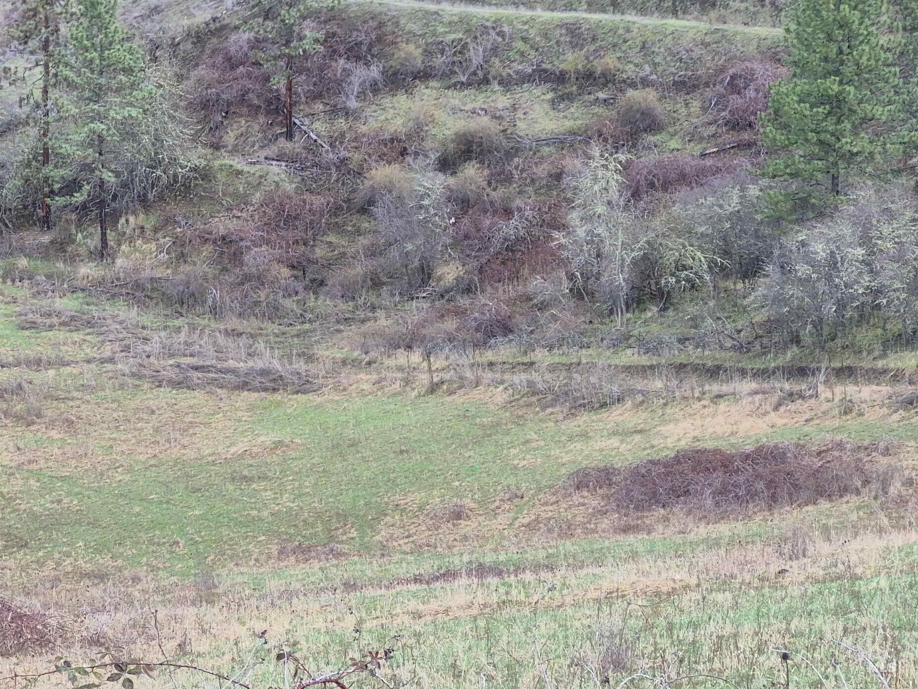 TBD Elk Hill St. Lot # 3, Kamiah, Idaho 83536, Land For Sale, Price $99,000,MLS 98980493