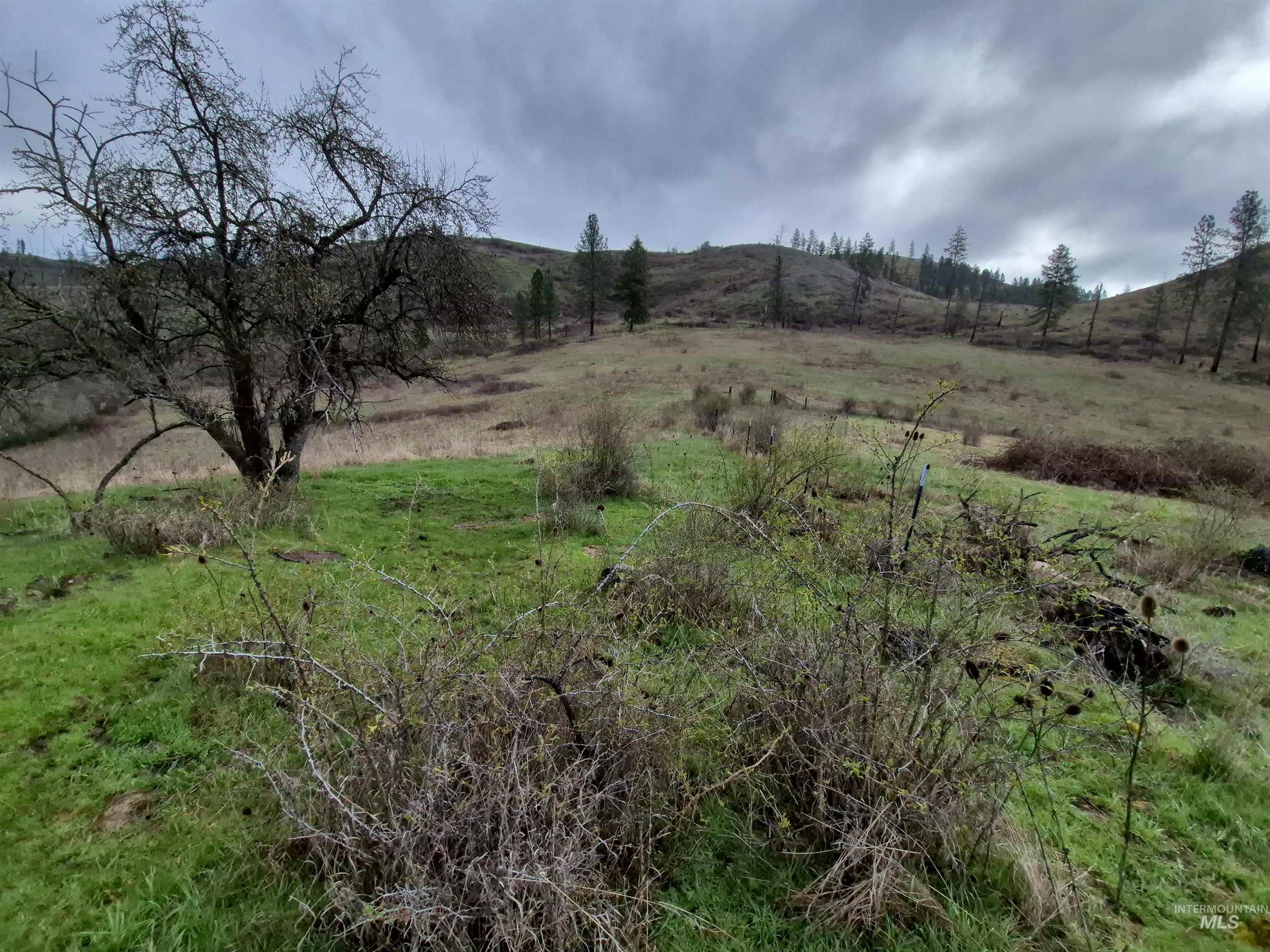 TBD Elk Hill St. Lot # 3, Kamiah, Idaho 83536, Land For Sale, Price $99,000,MLS 98980493
