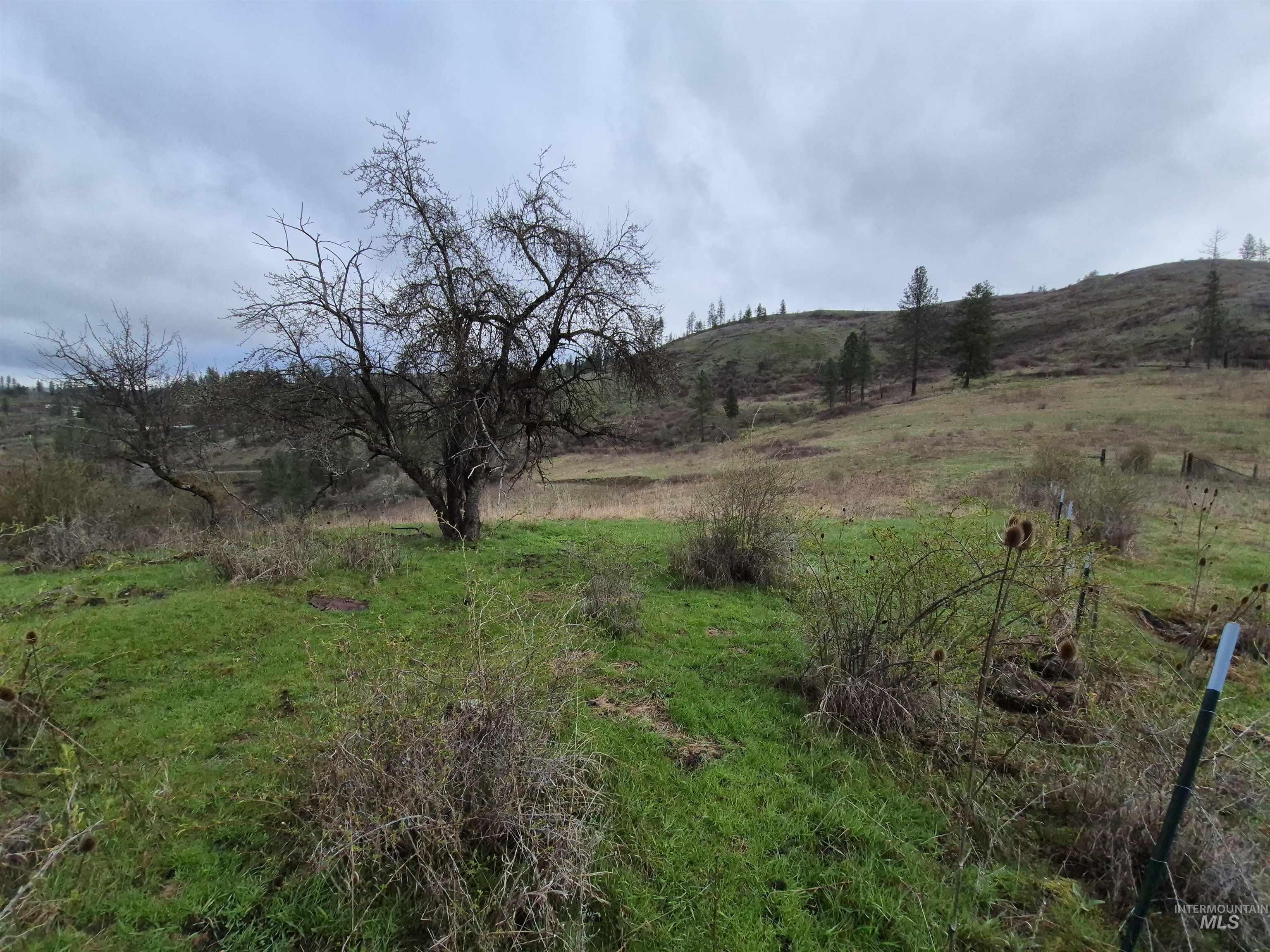 TBD Elk Hill St. Lot # 3, Kamiah, Idaho 83536, Land For Sale, Price $99,000,MLS 98980493