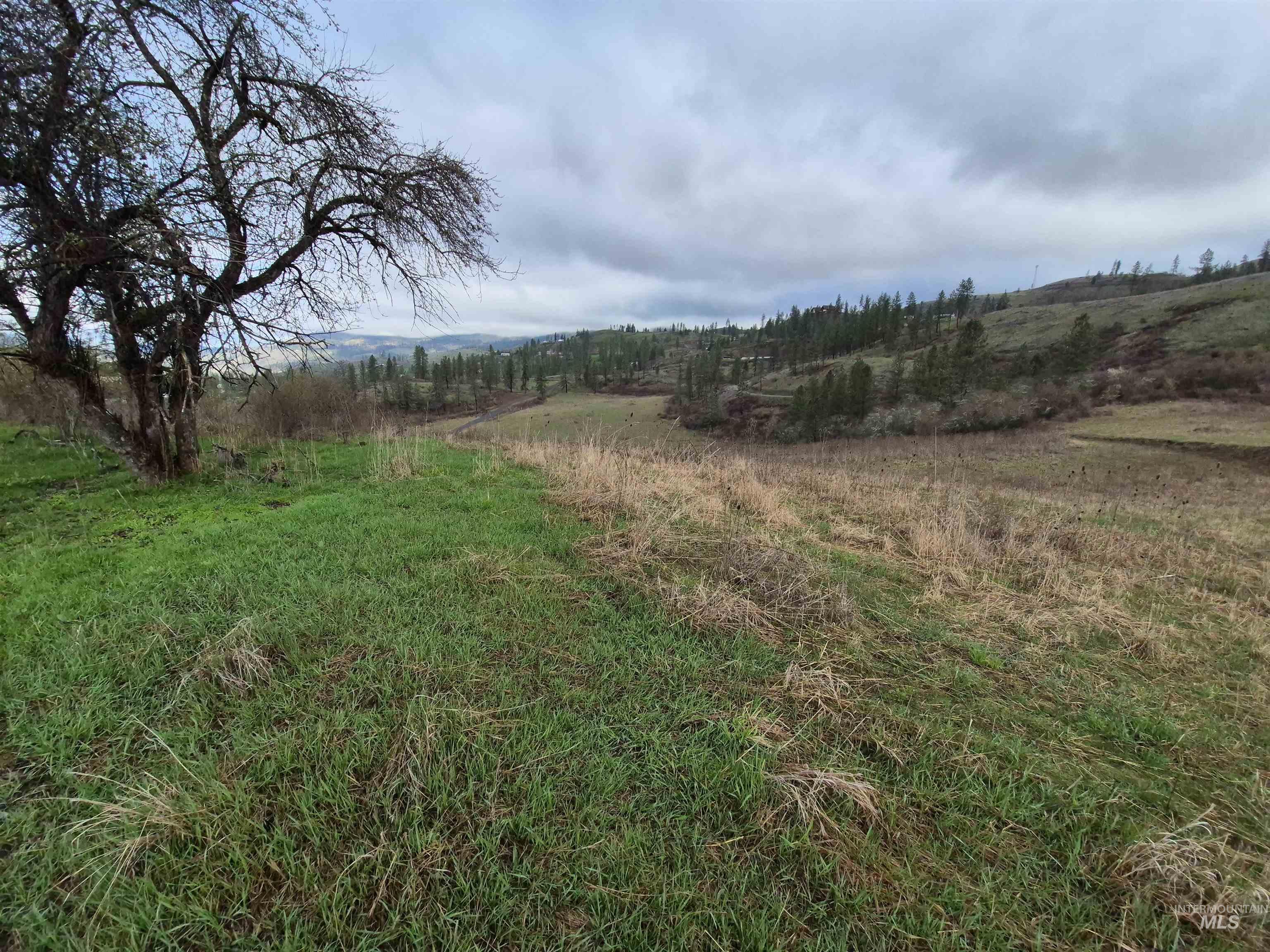 TBD Elk Hill St. Lot # 3, Kamiah, Idaho 83536, Land For Sale, Price $99,000,MLS 98980493