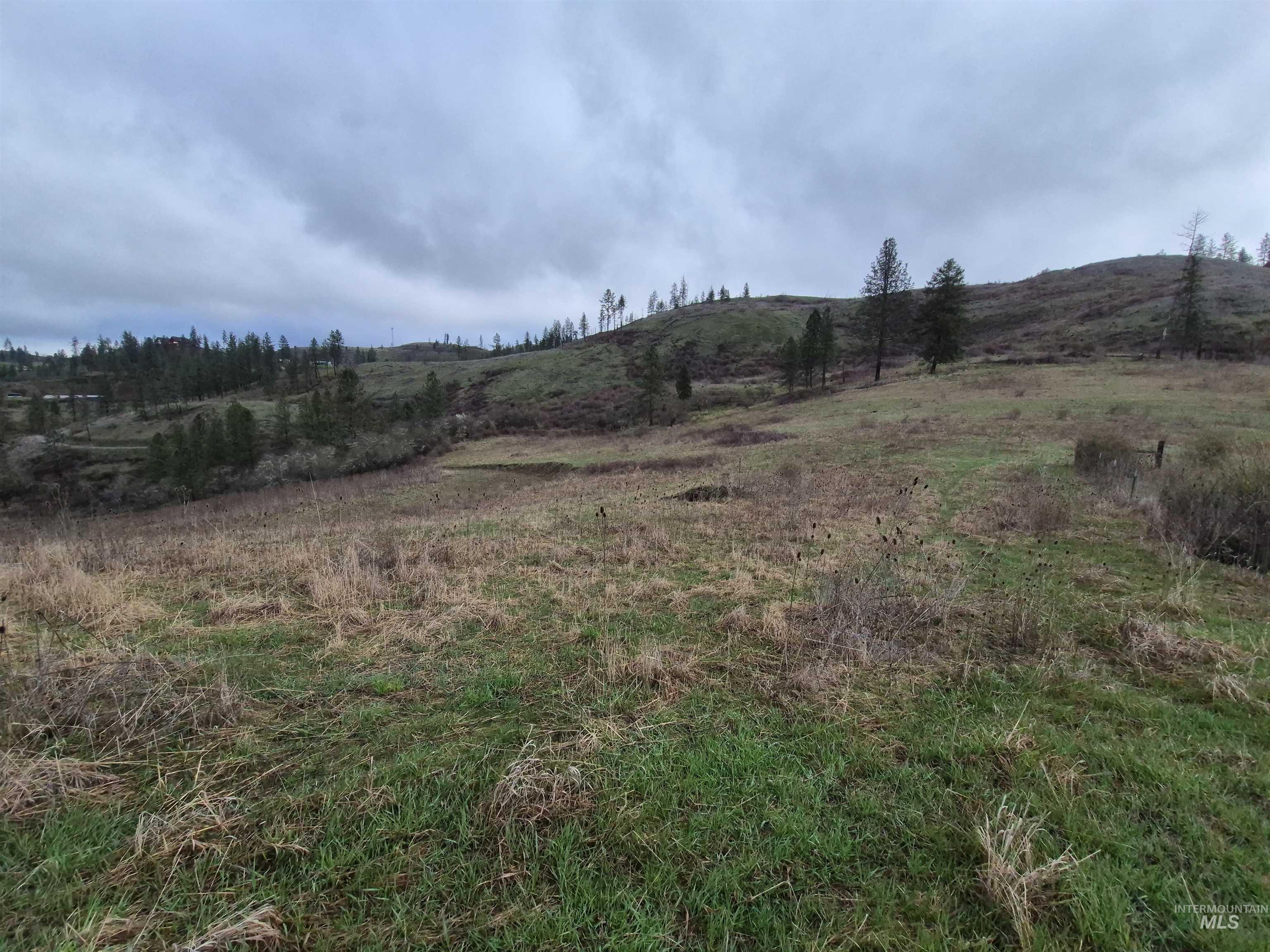 TBD Elk Hill St. Lot # 3, Kamiah, Idaho 83536, Land For Sale, Price $99,000,MLS 98980493