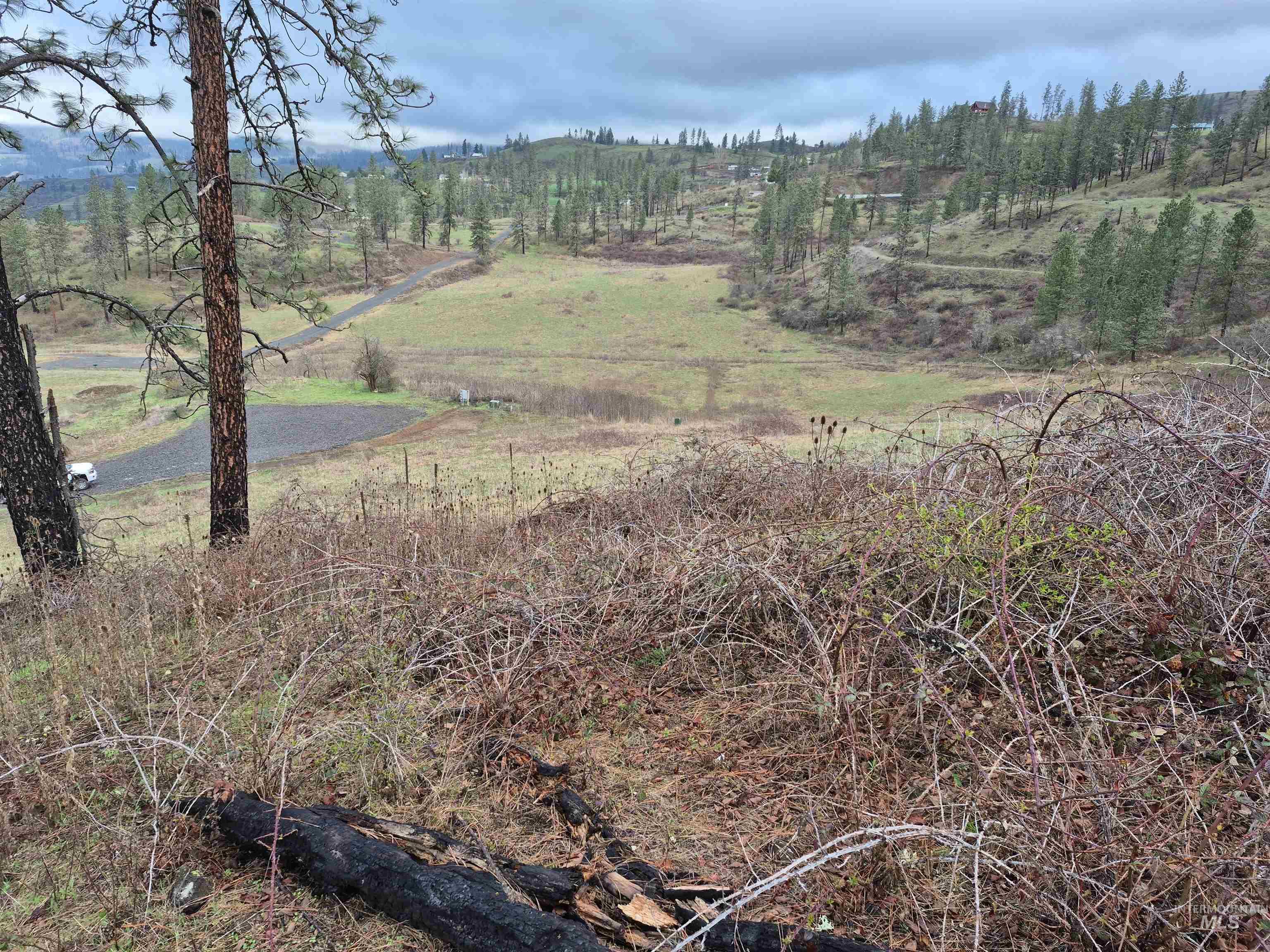 TBD Elk Hill St. Lot # 3, Kamiah, Idaho 83536, Land For Sale, Price $99,000,MLS 98980493
