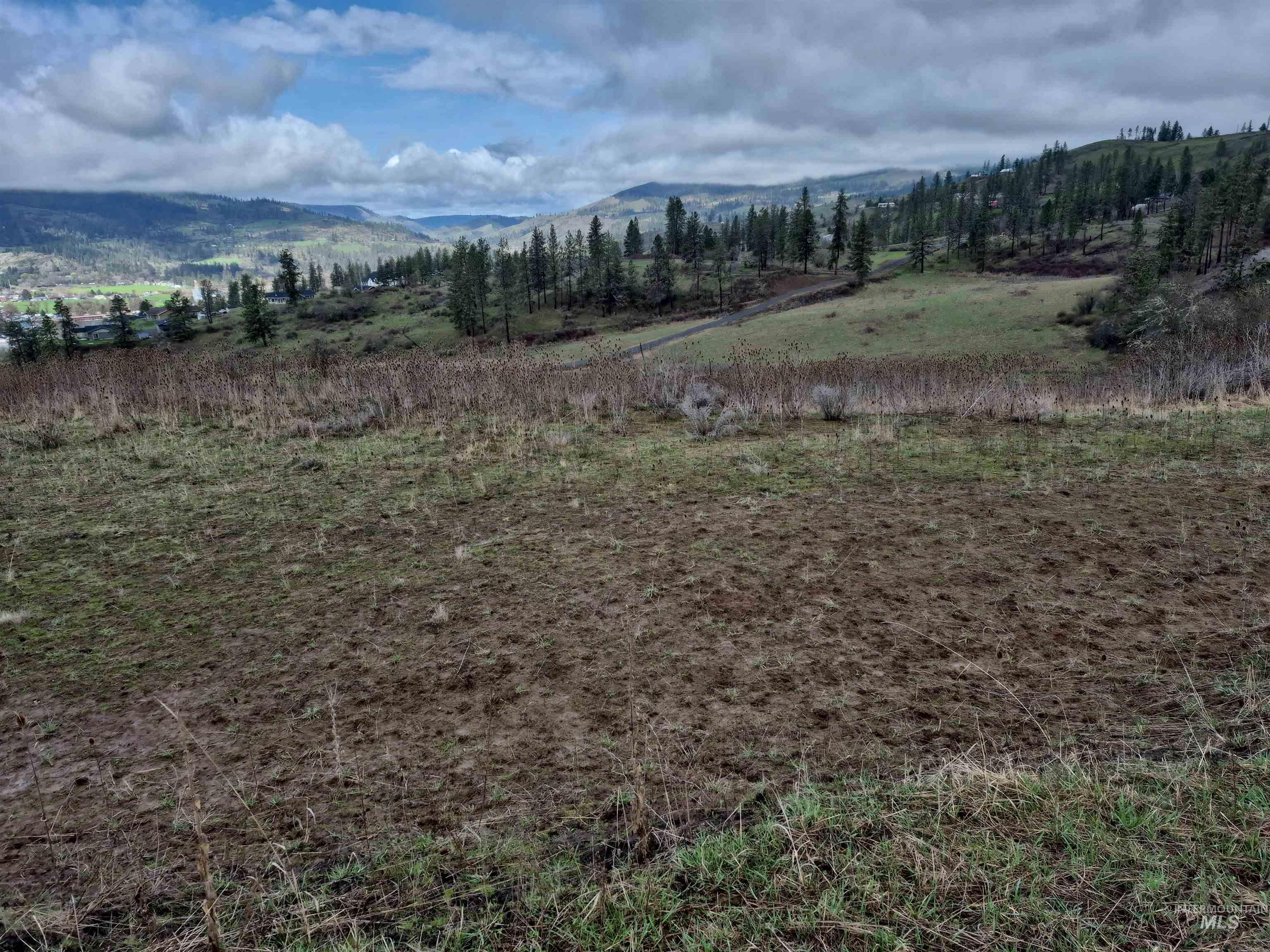 TBD Elk Hill St. Lot # 3, Kamiah, Idaho 83536, Land For Sale, Price $99,000,MLS 98980493