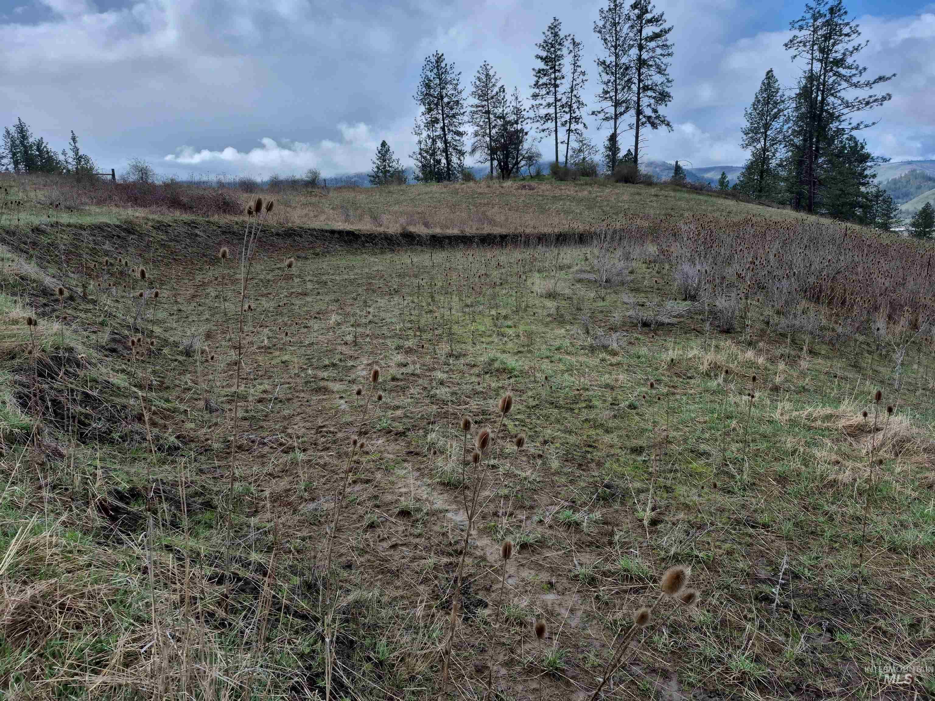 TBD Elk Hill St. Lot # 3, Kamiah, Idaho 83536, Land For Sale, Price $99,000,MLS 98980493