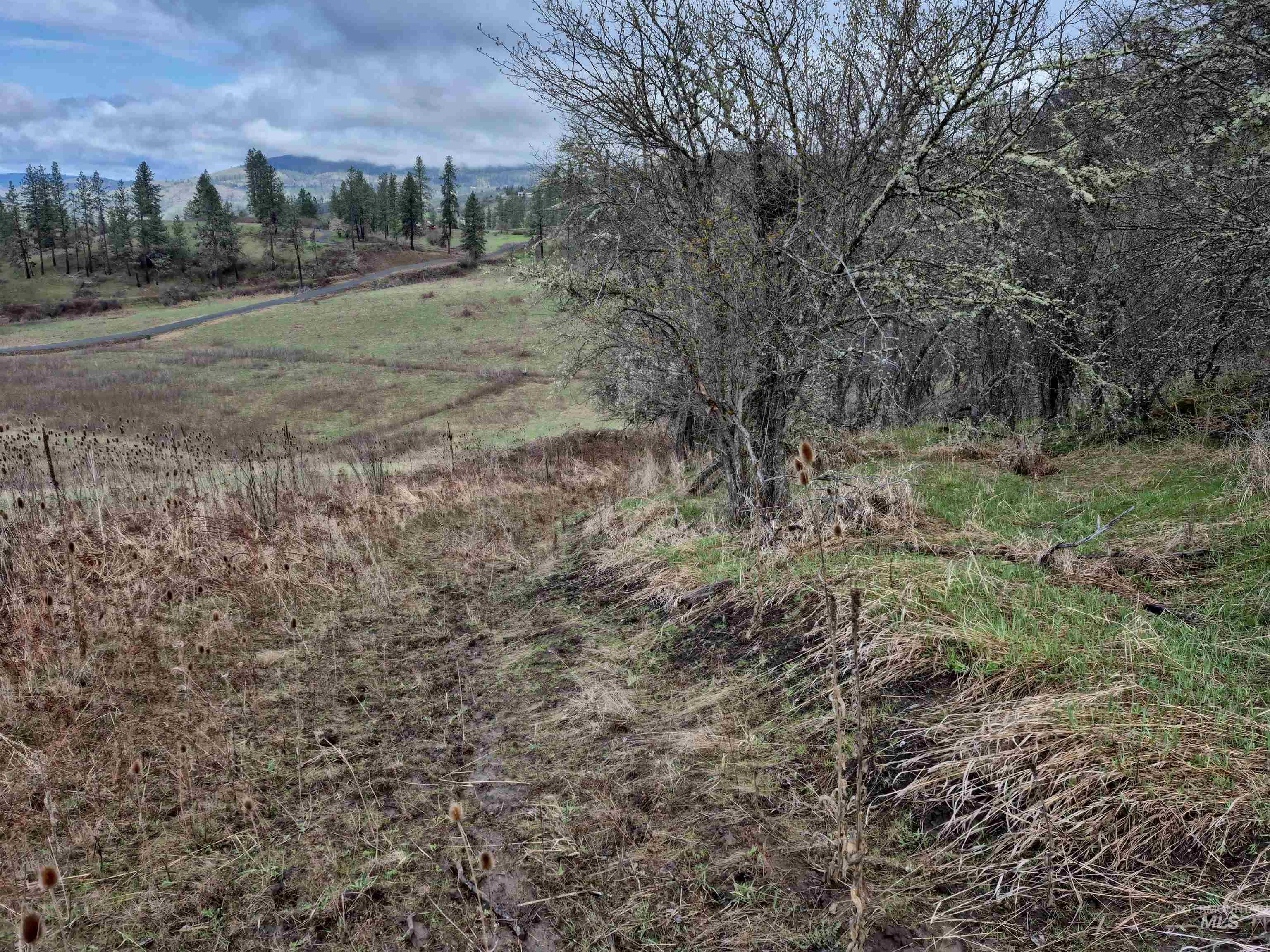 TBD Elk Hill St. Lot # 3, Kamiah, Idaho 83536, Land For Sale, Price $99,000,MLS 98980493
