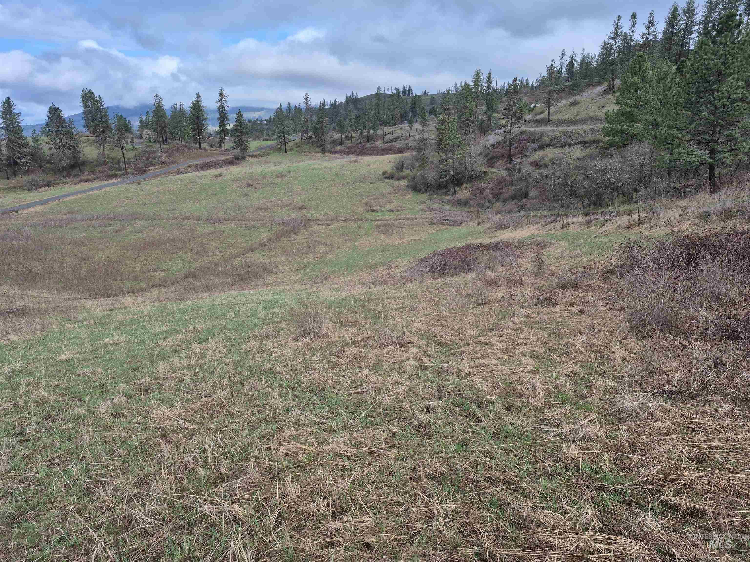 TBD Elk Hill St. Lot # 3, Kamiah, Idaho 83536, Land For Sale, Price $99,000,MLS 98980493