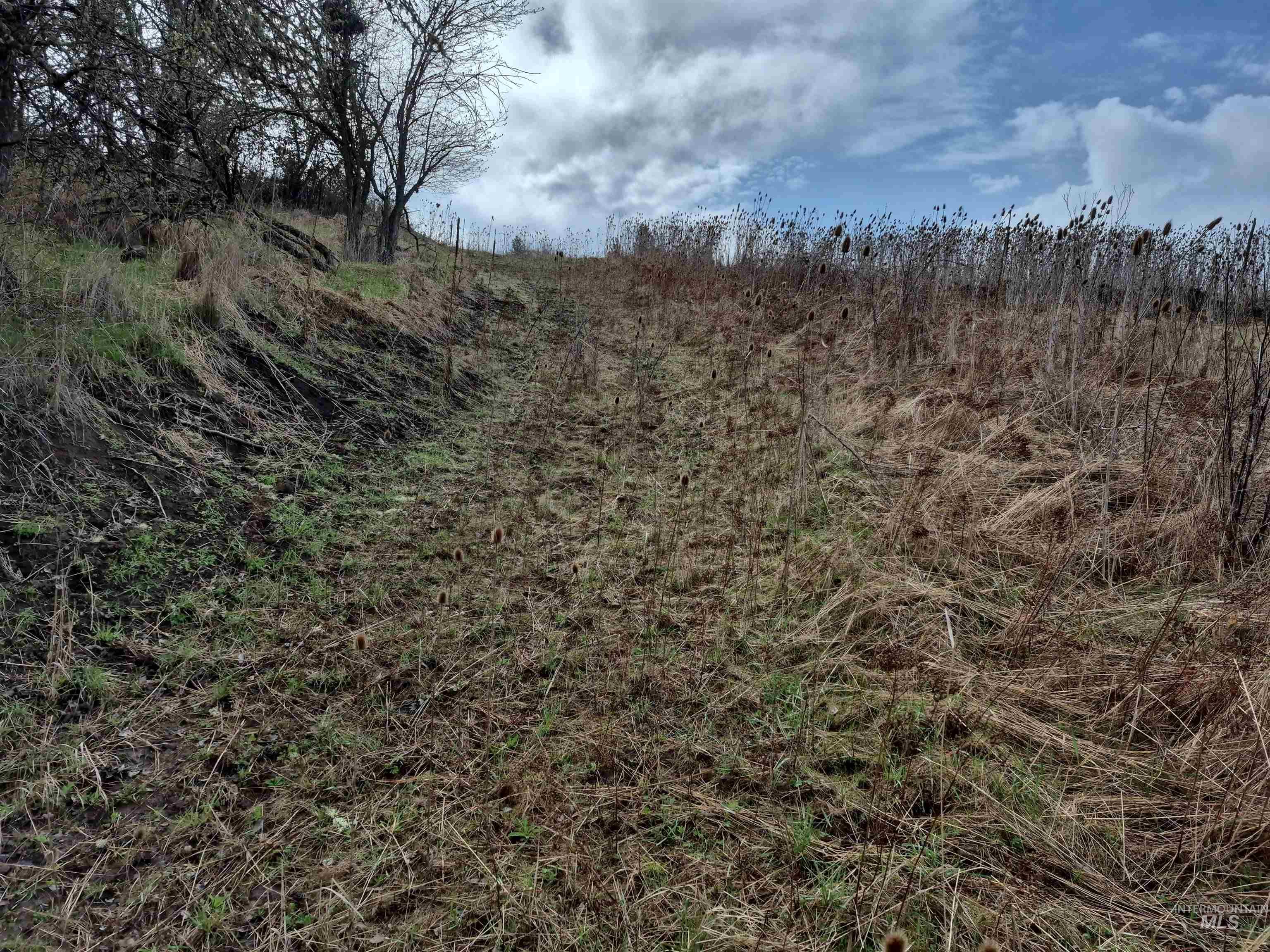 TBD Elk Hill St. Lot # 3, Kamiah, Idaho 83536, Land For Sale, Price $99,000,MLS 98980493