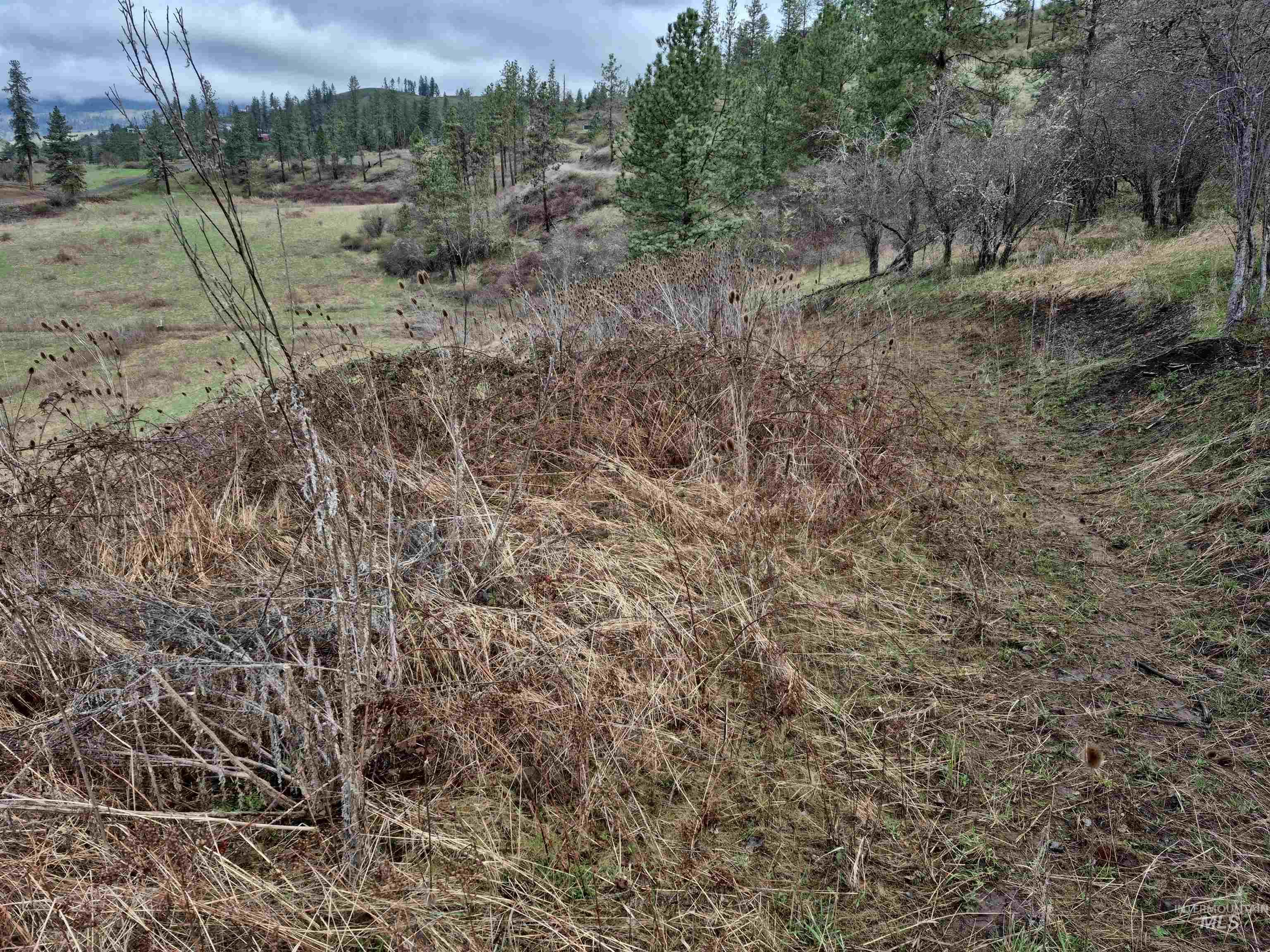 TBD Elk Hill St. Lot # 3, Kamiah, Idaho 83536, Land For Sale, Price $99,000,MLS 98980493