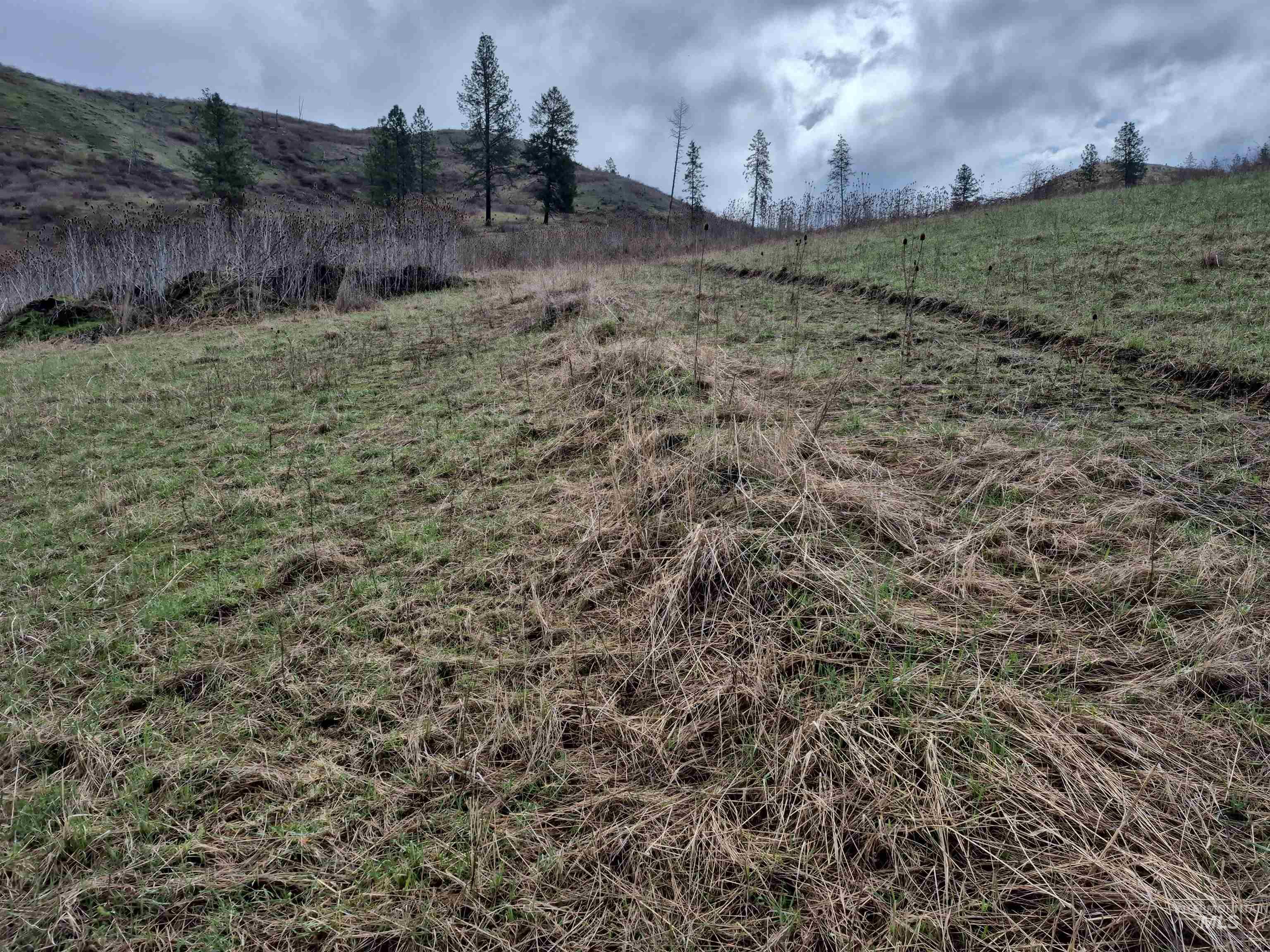 TBD Elk Hill St. Lot # 3, Kamiah, Idaho 83536, Land For Sale, Price $99,000,MLS 98980493