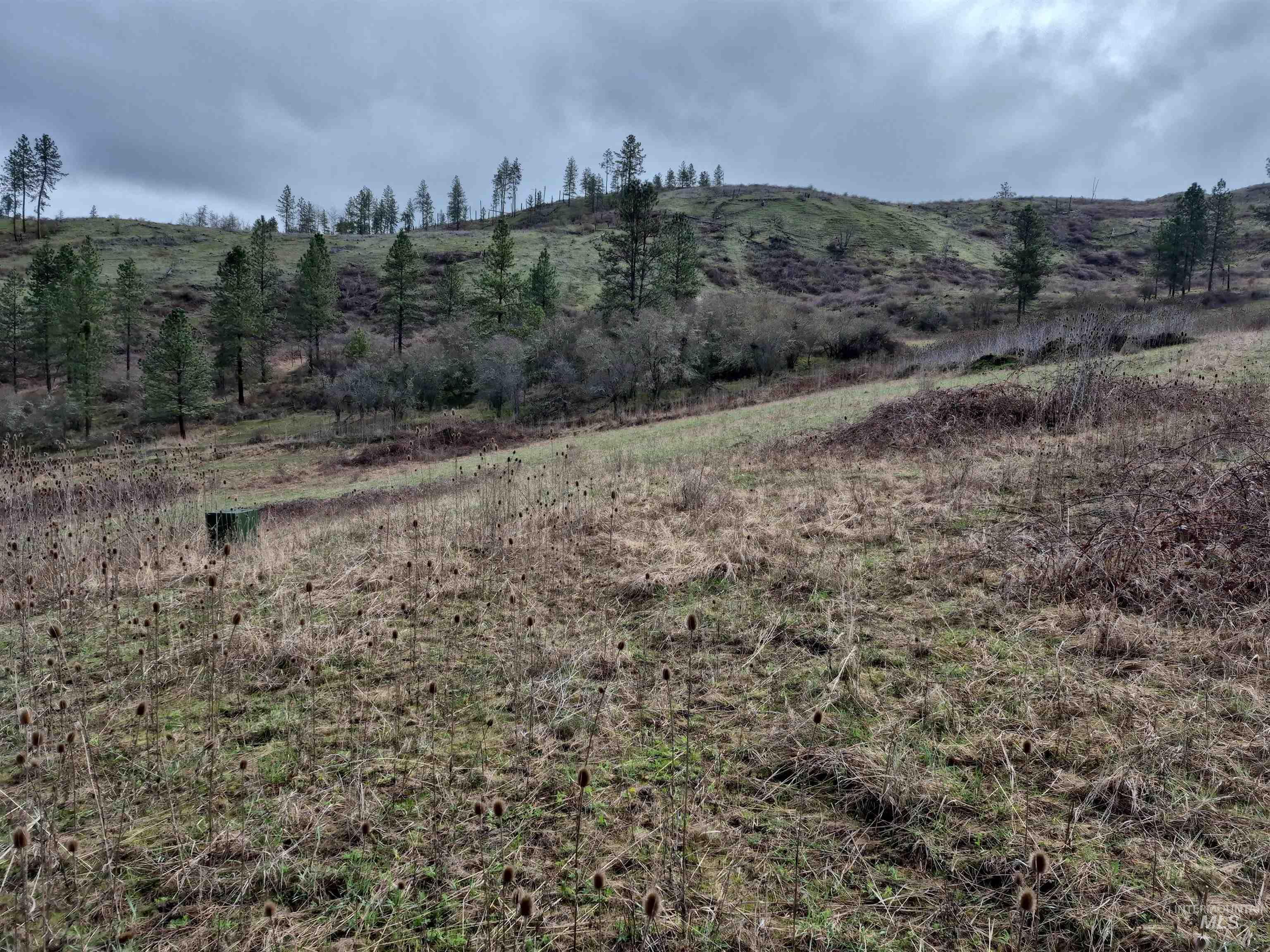 TBD Elk Hill St. Lot # 3, Kamiah, Idaho 83536, Land For Sale, Price $99,000,MLS 98980493