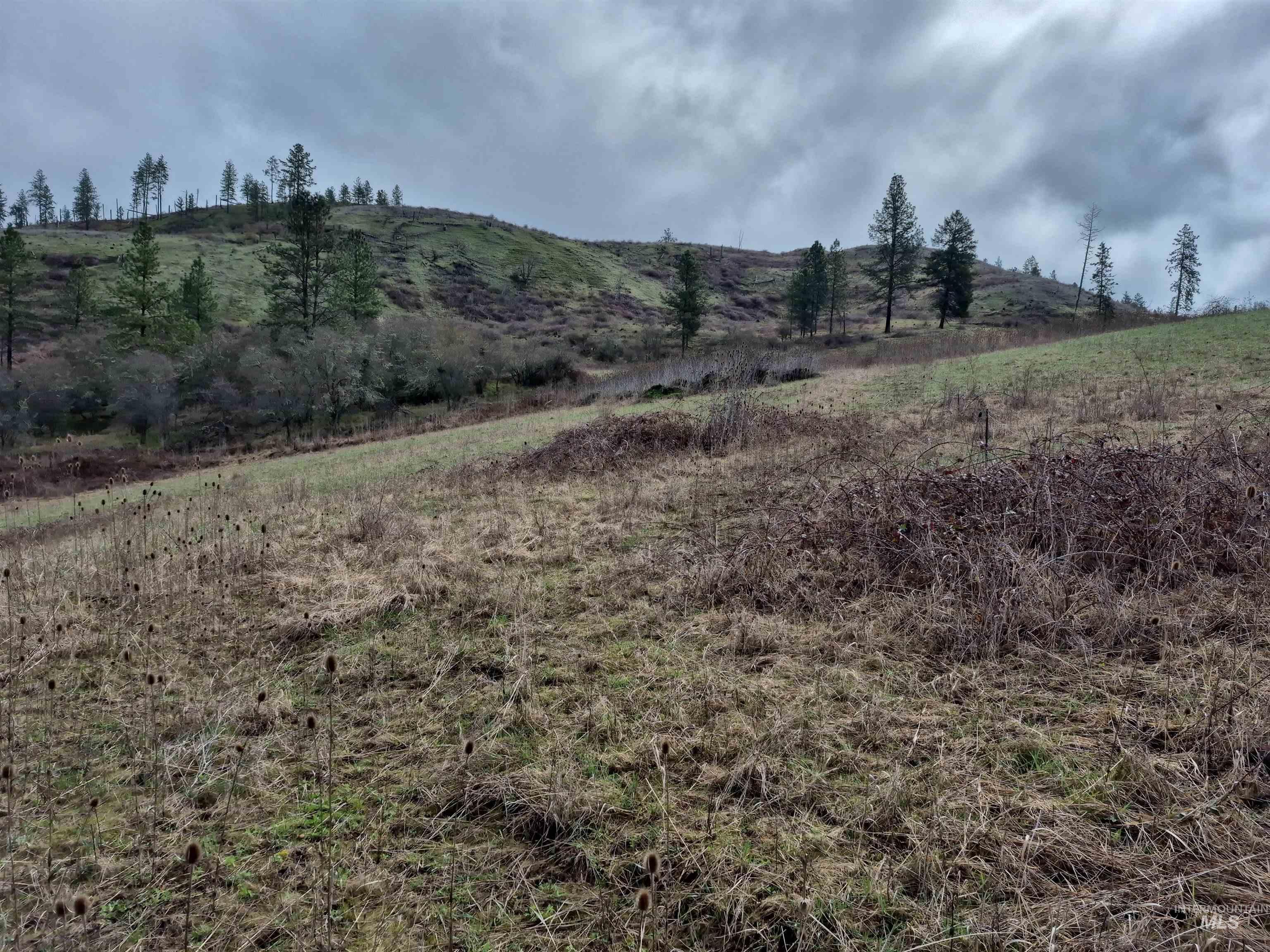 TBD Elk Hill St. Lot # 3, Kamiah, Idaho 83536, Land For Sale, Price $99,000,MLS 98980493