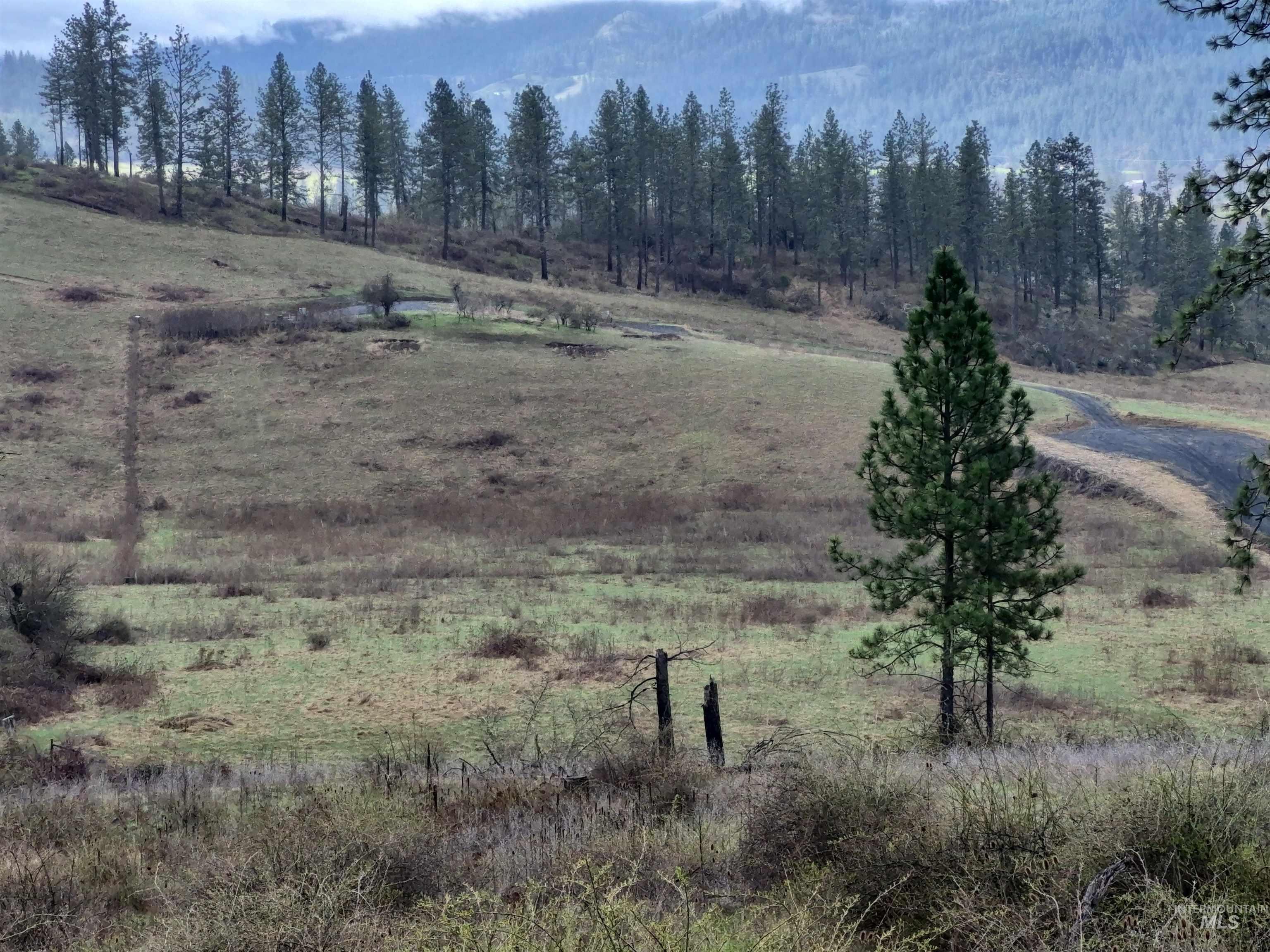 TBD Elk Hill St. Lot # 3, Kamiah, Idaho 83536, Land For Sale, Price $99,000,MLS 98980493