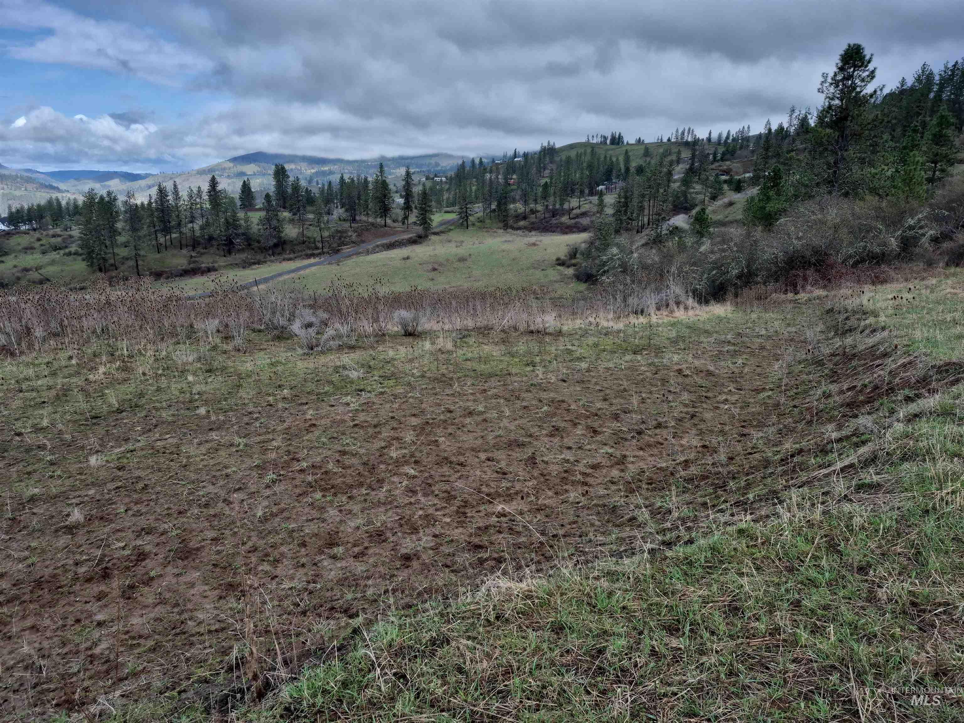 TBD Elk Hill St. Lot # 3, Kamiah, Idaho 83536, Land For Sale, Price $99,000,MLS 98980493
