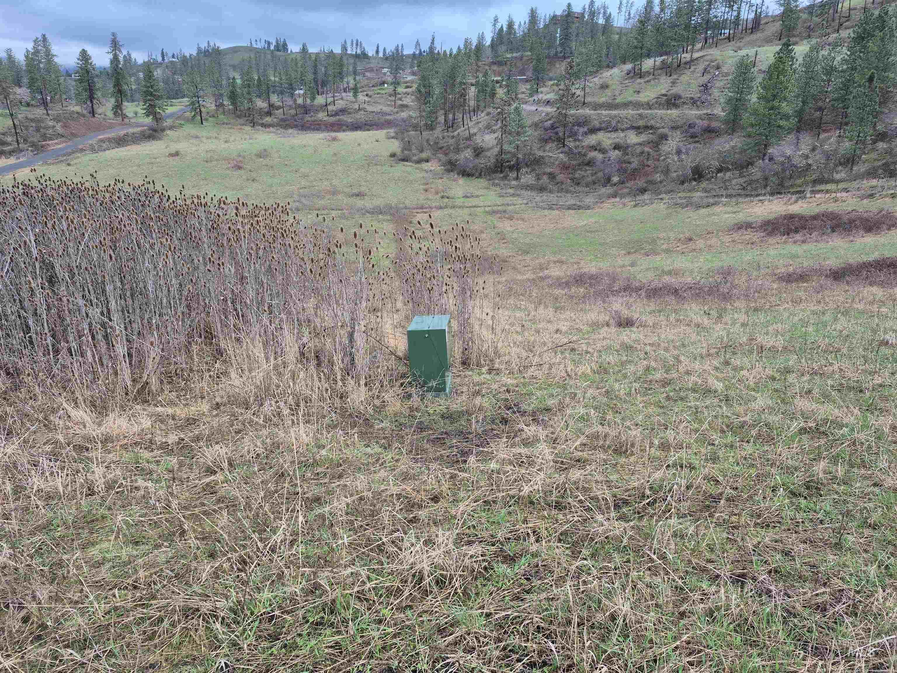 TBD Elk Hill St. Lot # 3, Kamiah, Idaho 83536, Land For Sale, Price $99,000,MLS 98980493